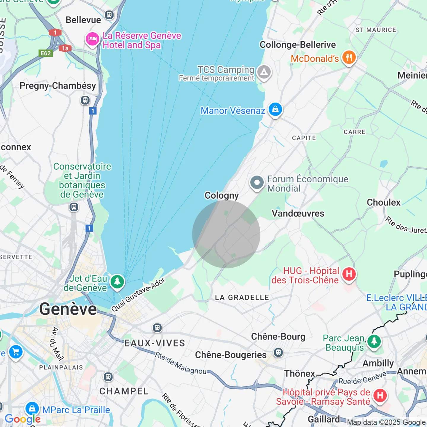 Außergewöhnliche Wohnung - Blick auf den Genfersee - Foto 4 von 4