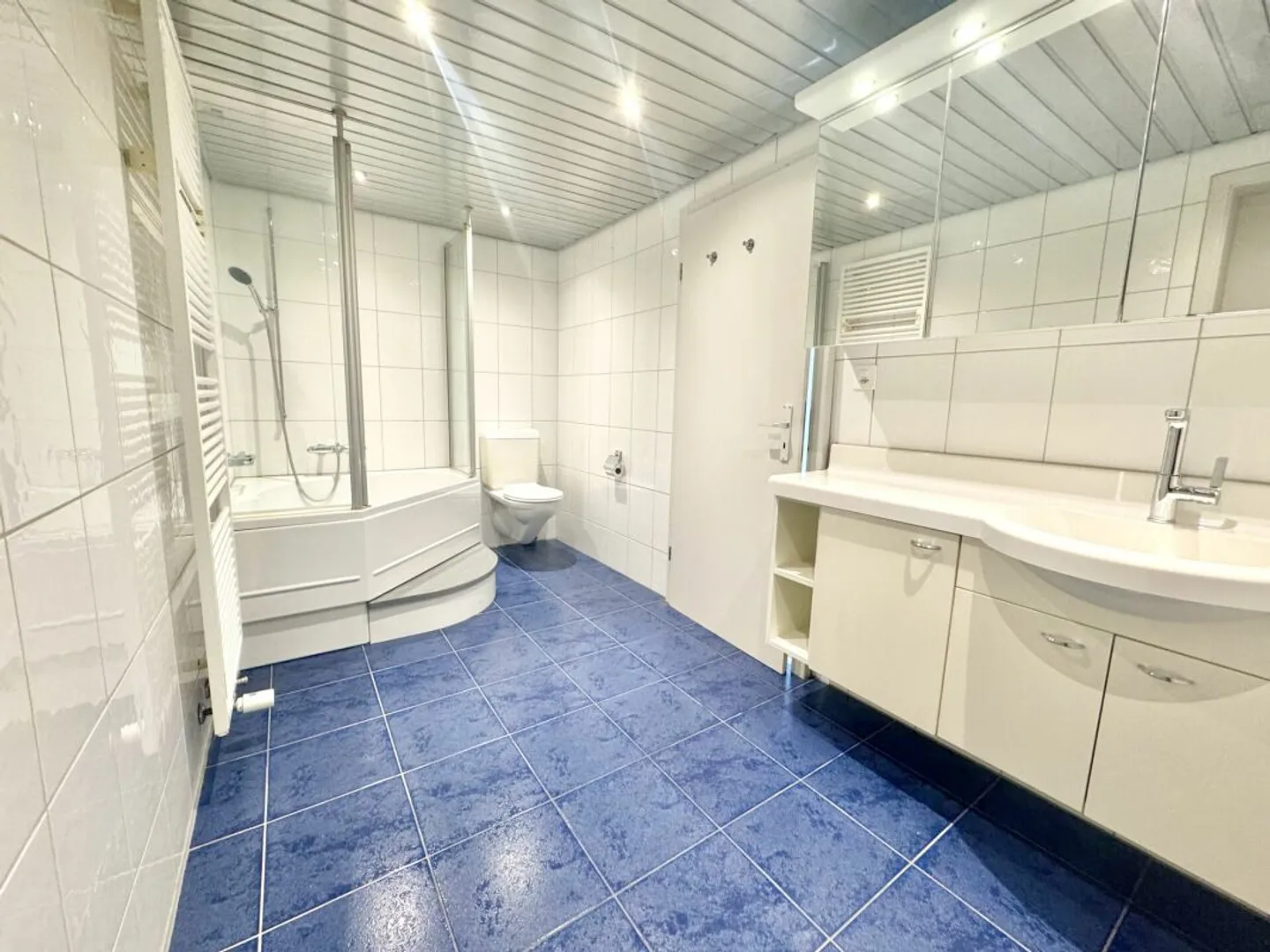 Exclusive Residential Idyl: Charming Farmhouse on Southern Slope with Great Potential in Oensingen - Photo 16 of 25