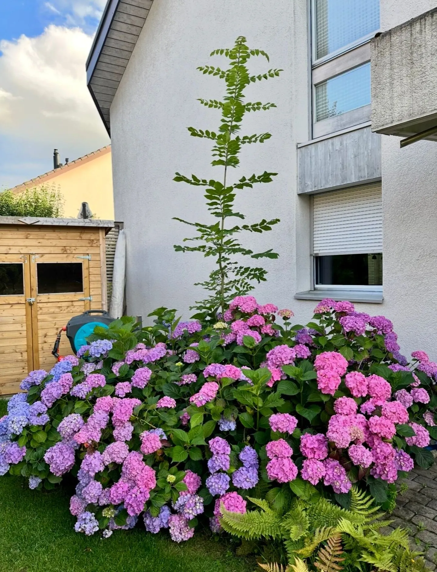 Maison mitoyenne avec oasis de jardin - Maison à Zollikofen - Photo 21 sur 26