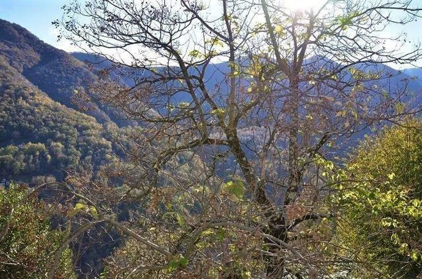 Charmantes Rustico in Centovalli - Foto 18 von 22