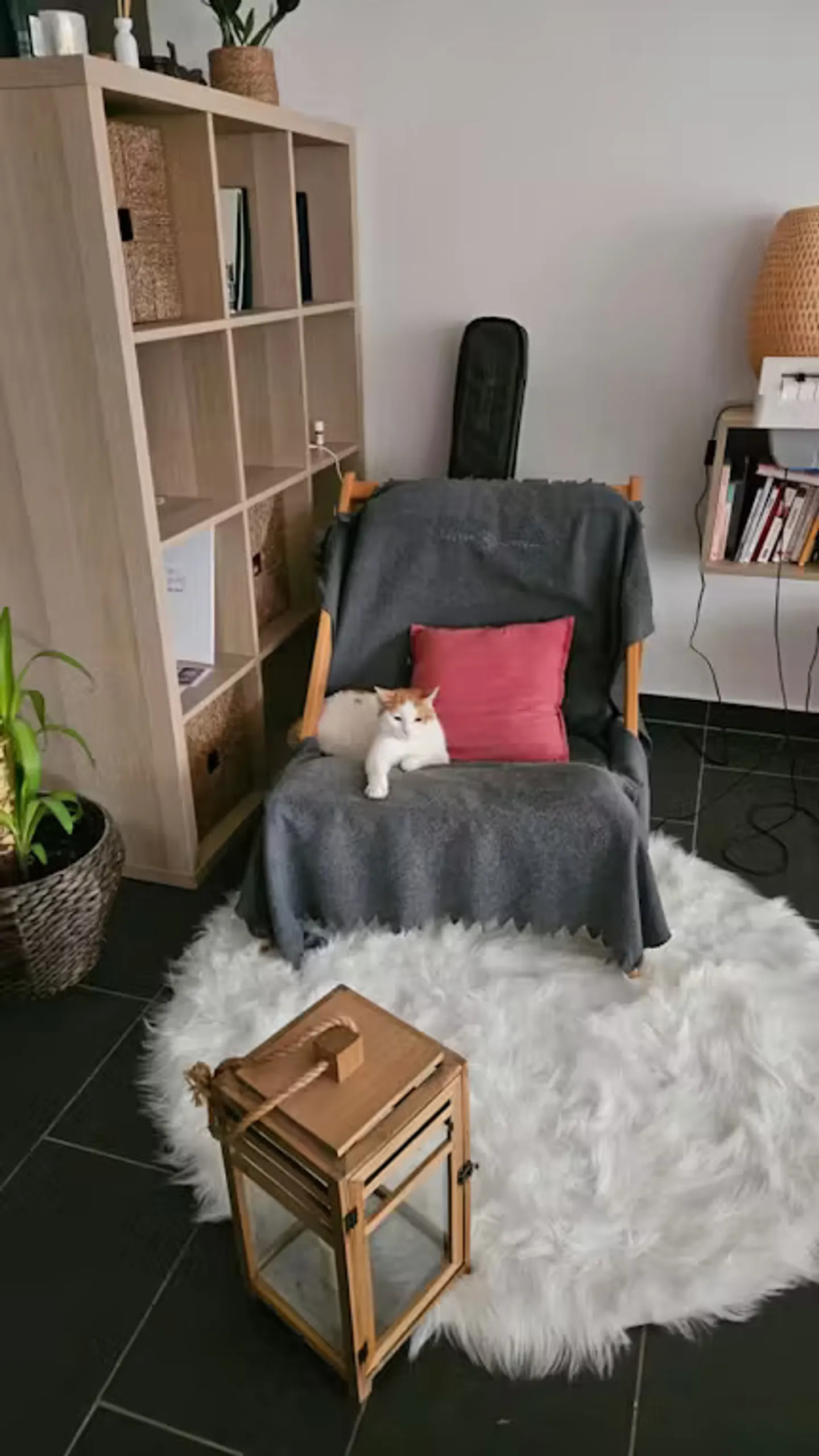 Subaffitto 4 mesi da metà luglio - Foto 6 di 10