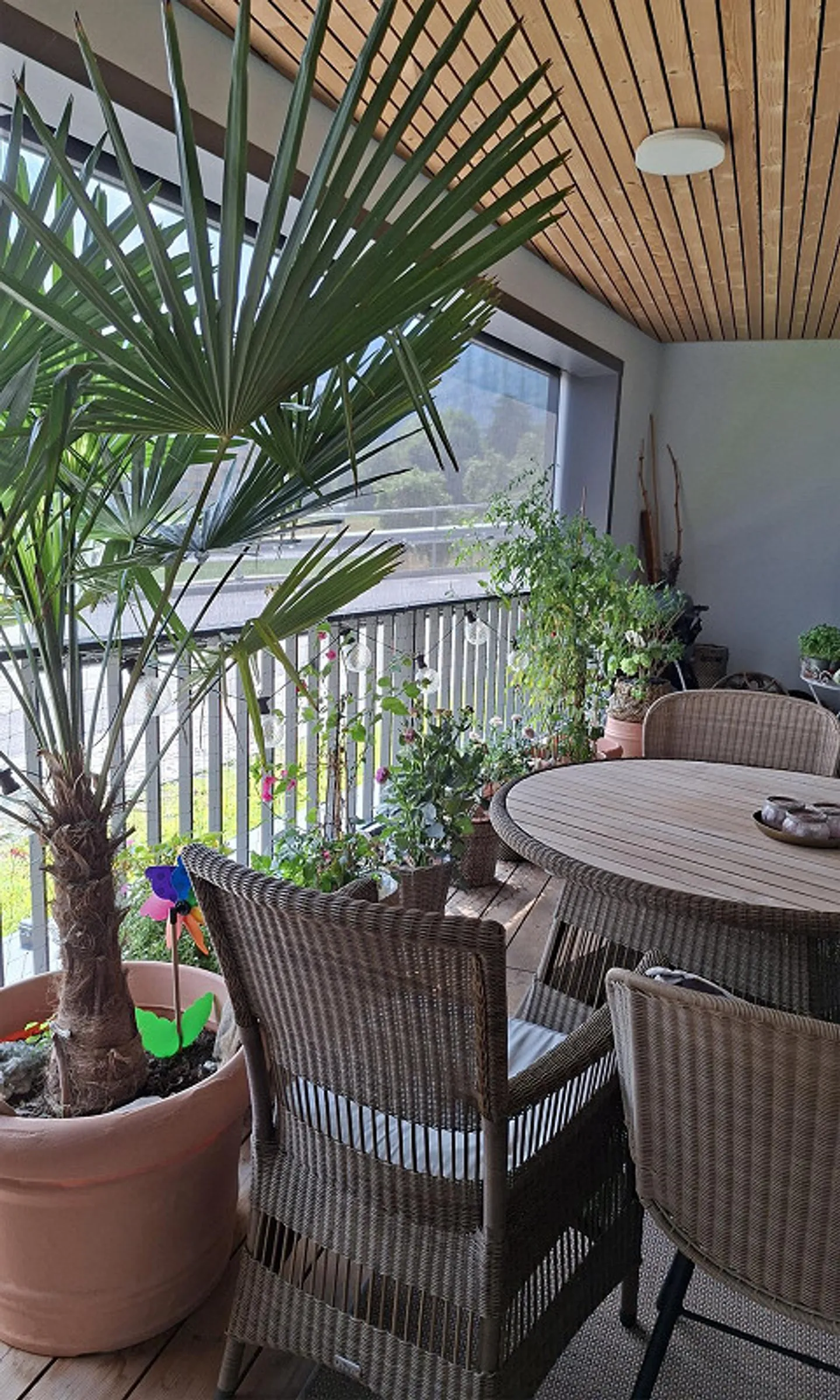 Modernes Apartment mit Pilatusblick - Foto 8 von 10