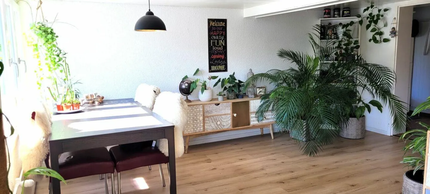 Appartamento 3,5 locali accogliente e bello in affitto - Foto 4 di 9