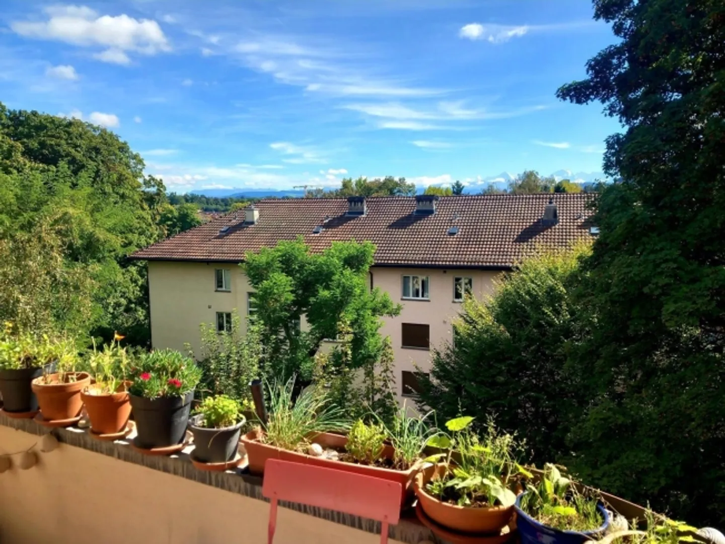 Appartamento 2 locali a Berna - Sulgenau, arredato, temporaneo - Foto 10 di 10