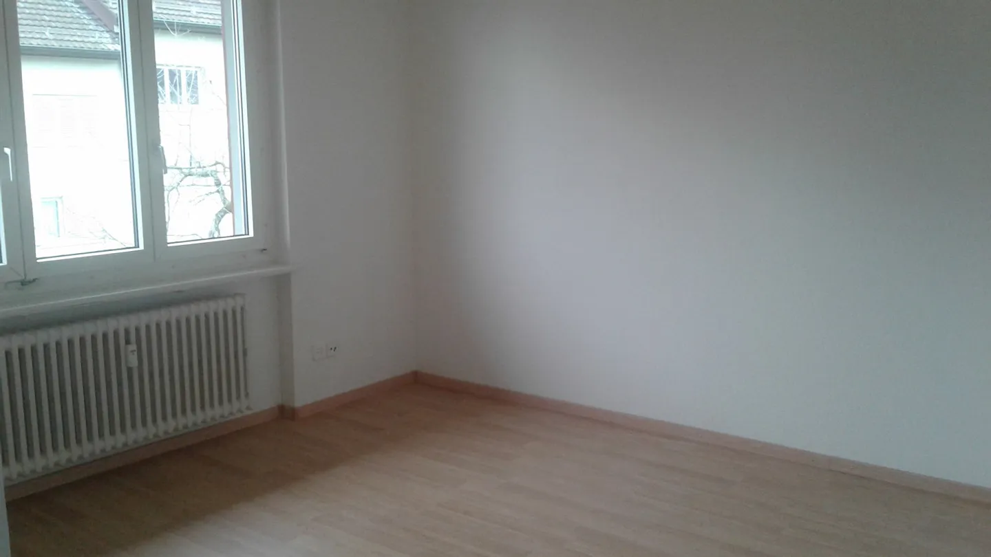 Super renovated 2.5 room apartment in a quiet location - Photo 3 of 20