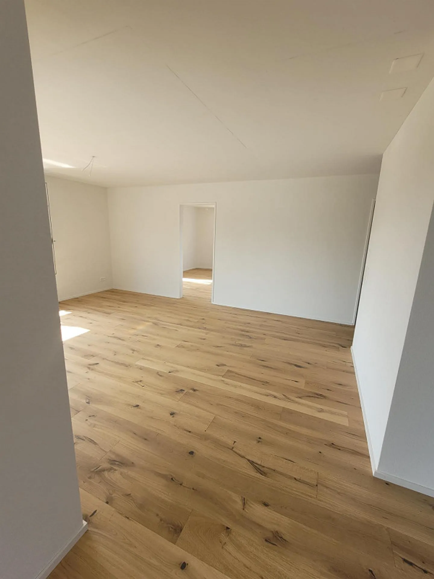 Appartamento nuovo 3.5 locali con giardino - Foto 2 di 9
