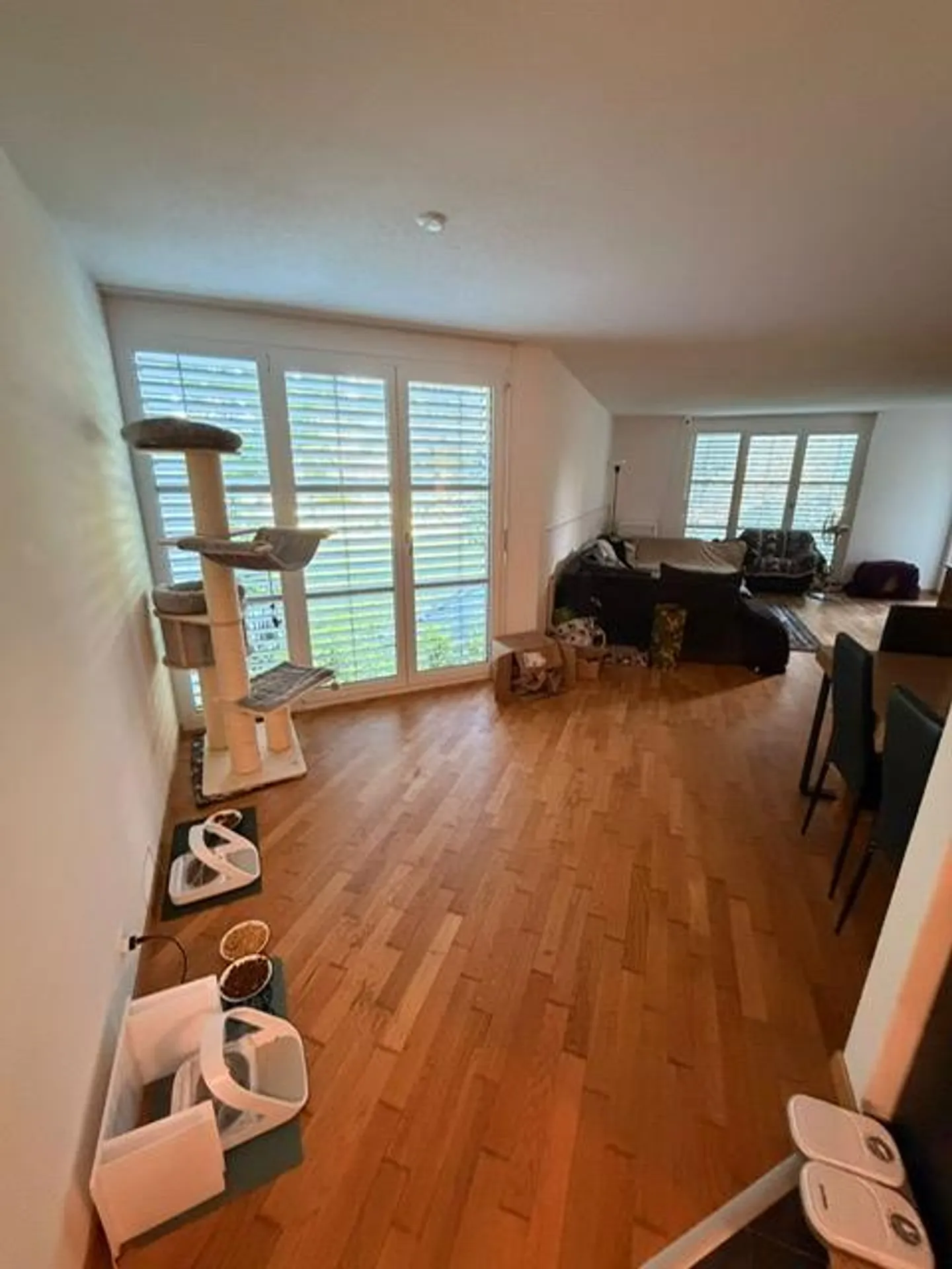 Wohnfühloase mit Balkon – Ihr neues Zuhause in Wildegg - Photo 4 sur 12