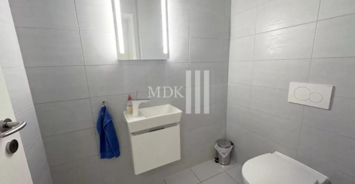 Geräumiger Gewerberaum in Monthey - Foto 6 von 12