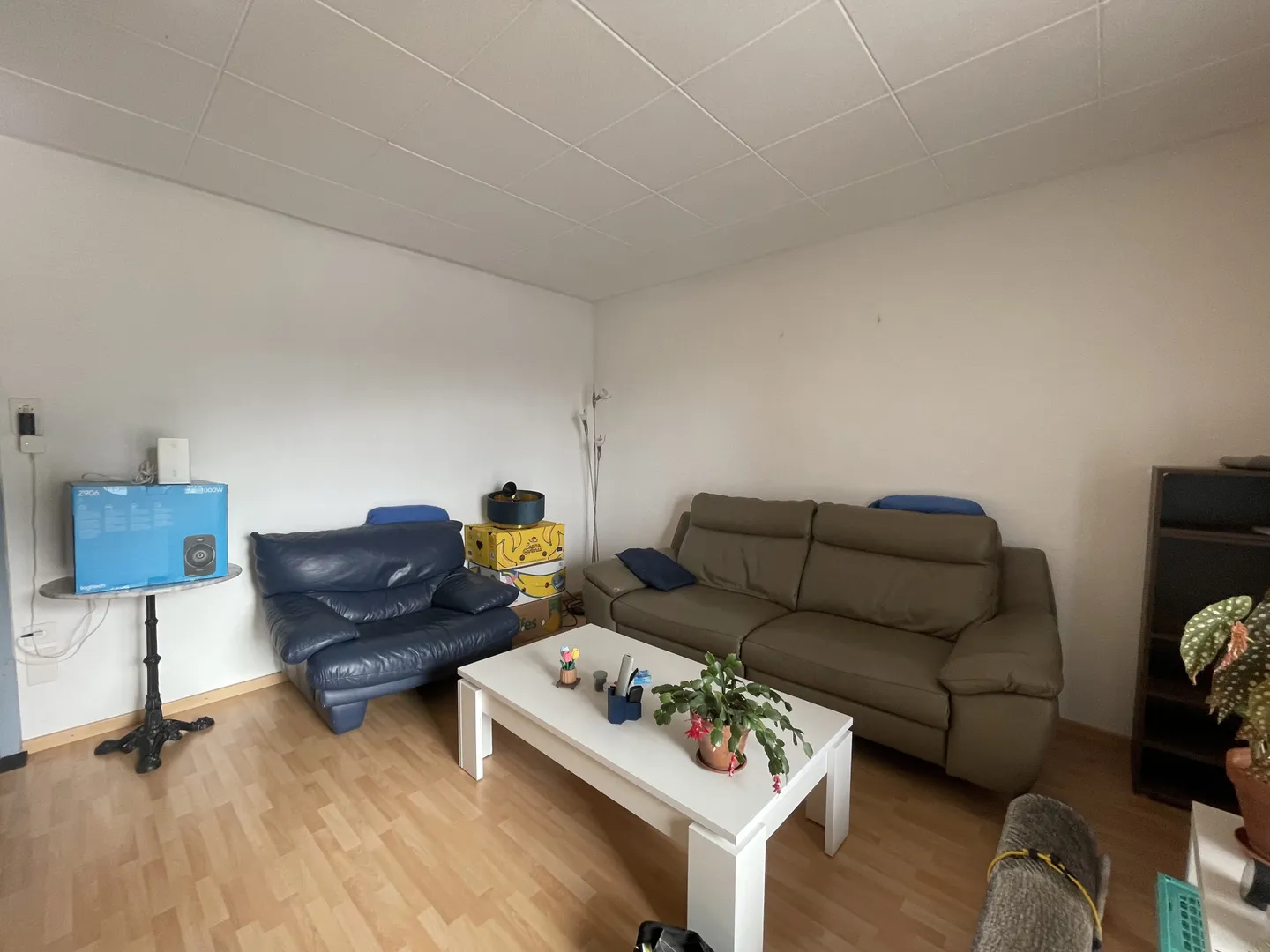 Charmante 3,5-Zimmer Wohnung - Foto 11 von 17