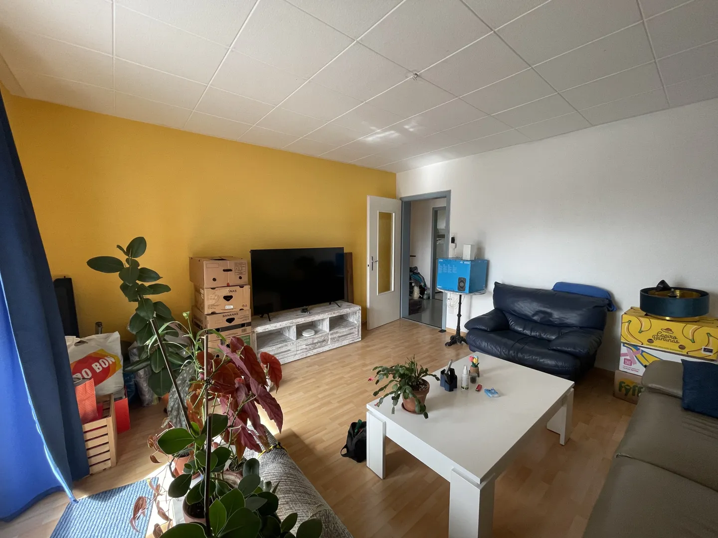 Charmante 3,5-Zimmer Wohnung - Foto 12 von 17