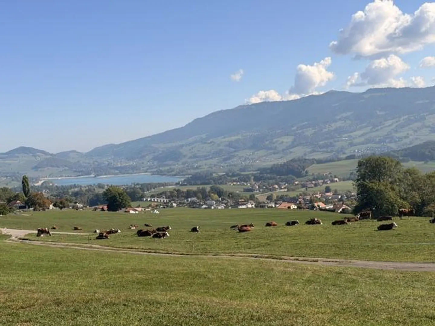 Einfamilienhaus in Leibrente mit Blick auf den See und die Berge - Foto 1 von 29