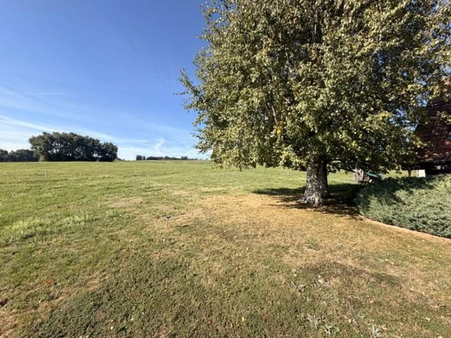 Einfamilienhaus in Leibrente mit Blick auf den See und die Berge - Foto 9 von 29