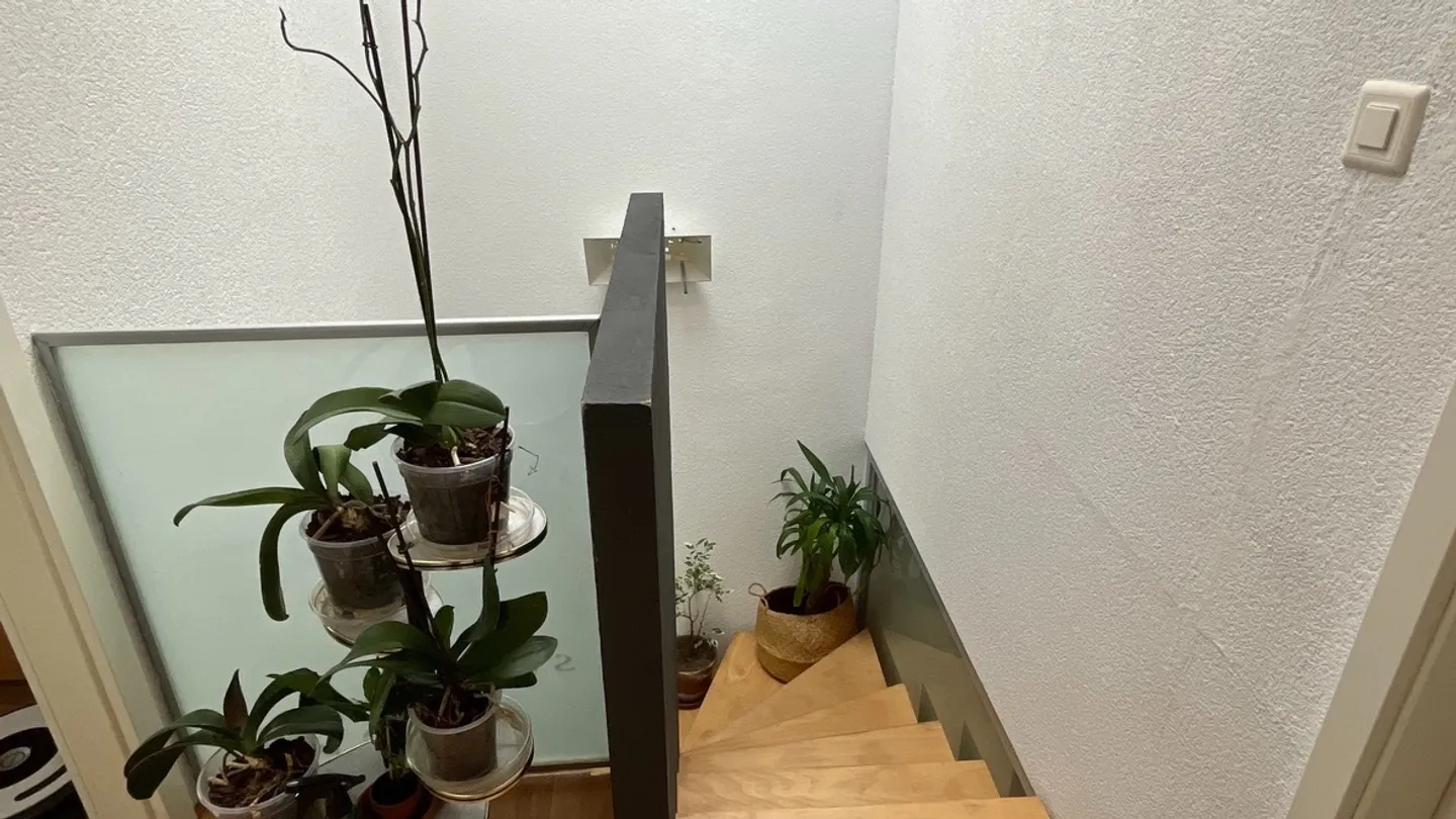 Maison contiguë 4.5 pièces - Photo 11 sur 13