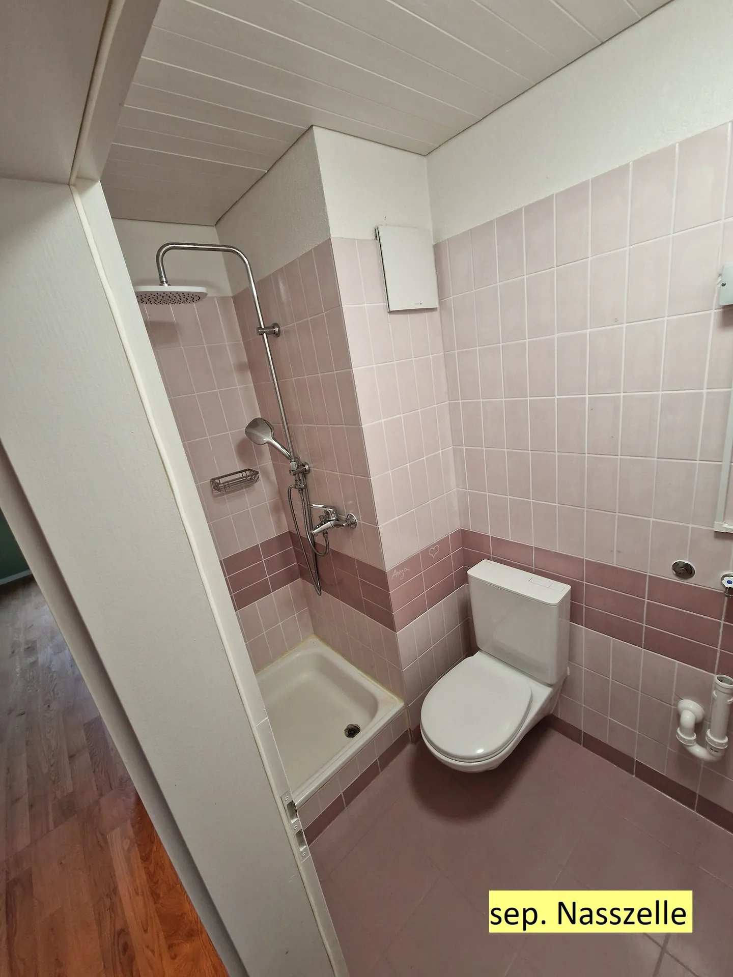 Attractive 5-Room Penthouse Apartment with Garage in Safnern - Photo 12 of 18