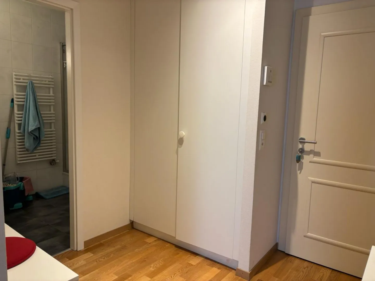 Bel appartement de 2 pièces près des organisations internationales - Photo 4 sur 7