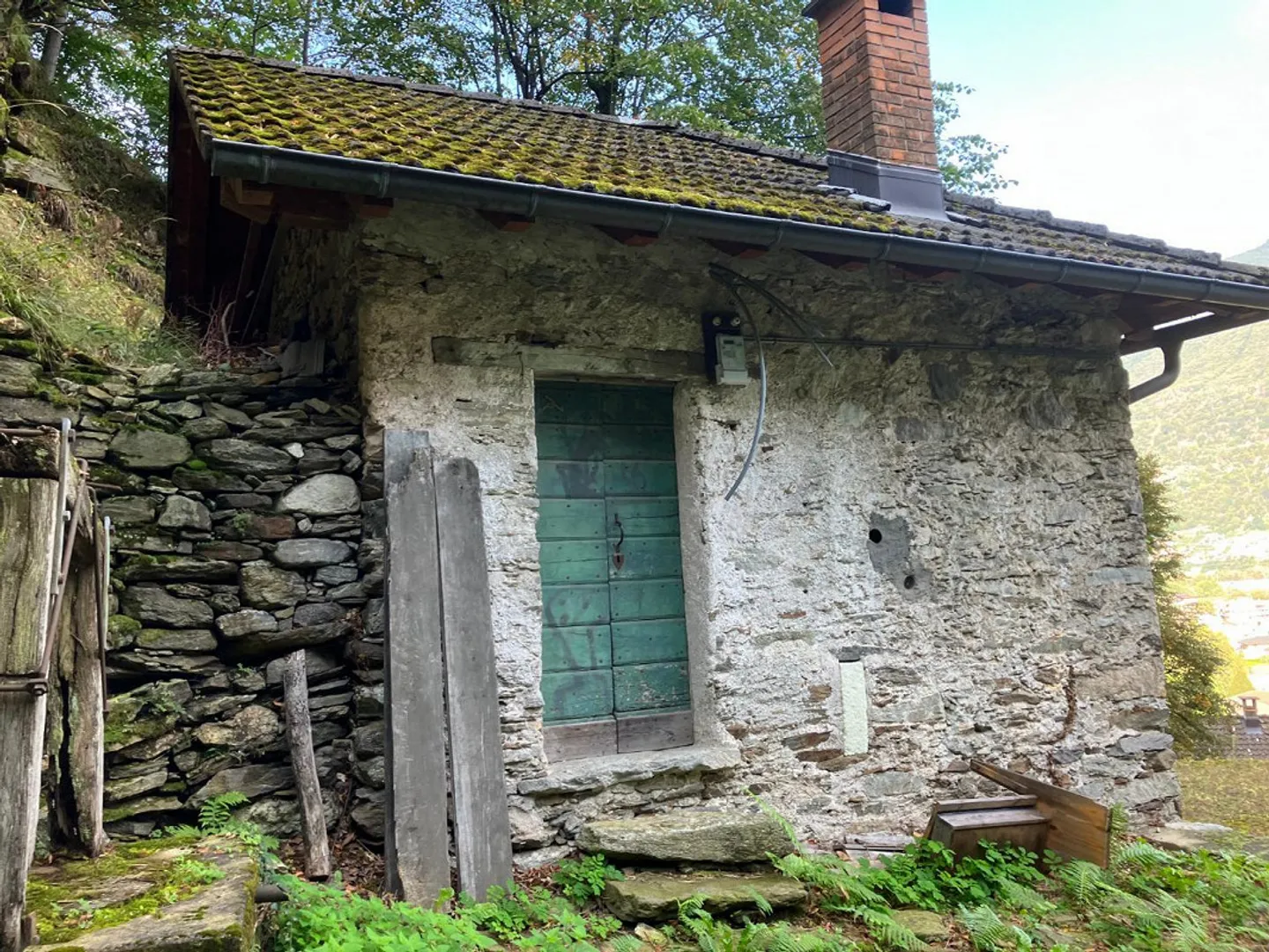 Bosco di 10615 m2 con cantina in posizione tranquilla con bella vista - Foto 1 di 10