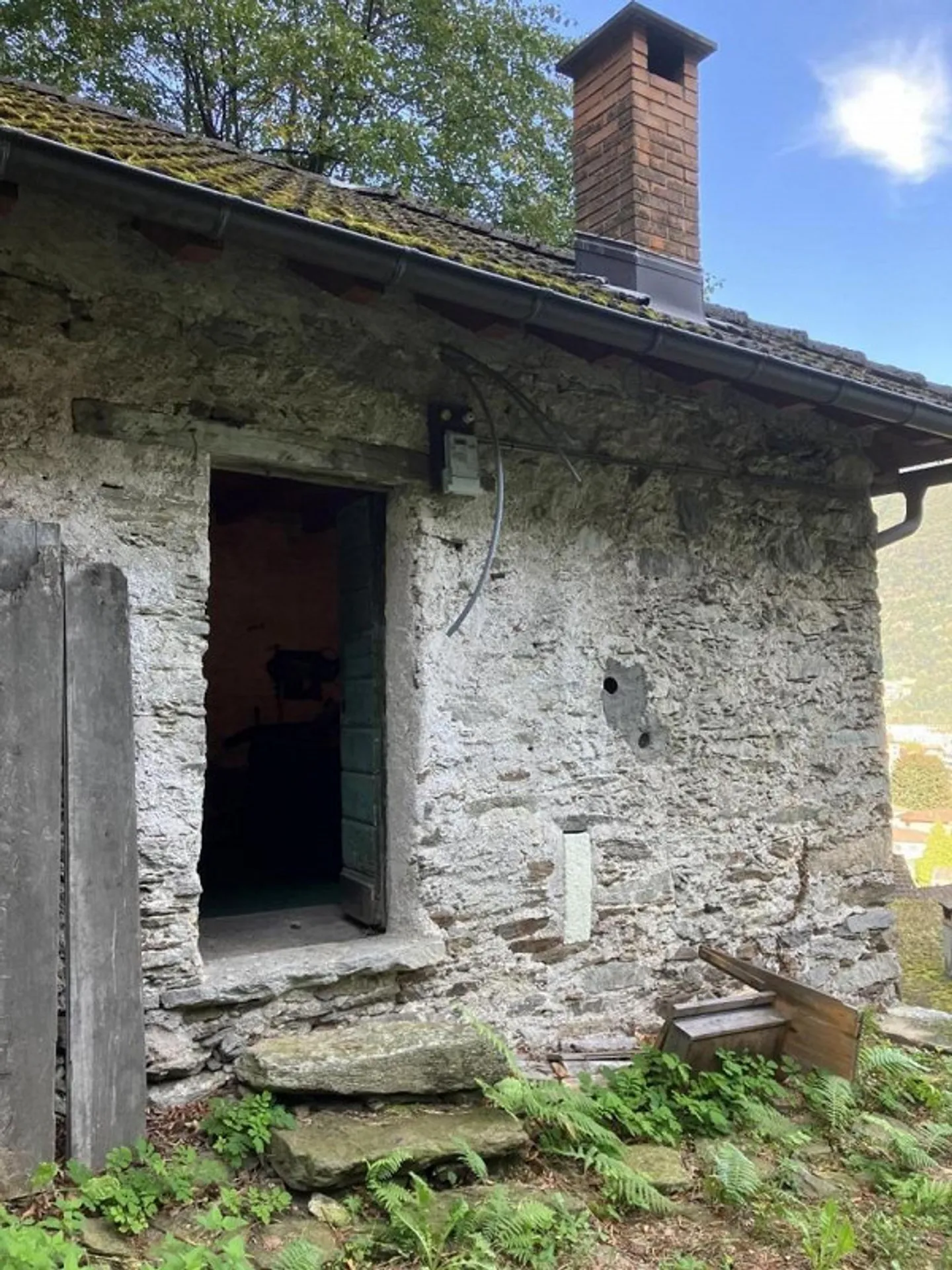 Bosco di 10615 m2 con cantina in posizione tranquilla con bella vista - Foto 2 di 10