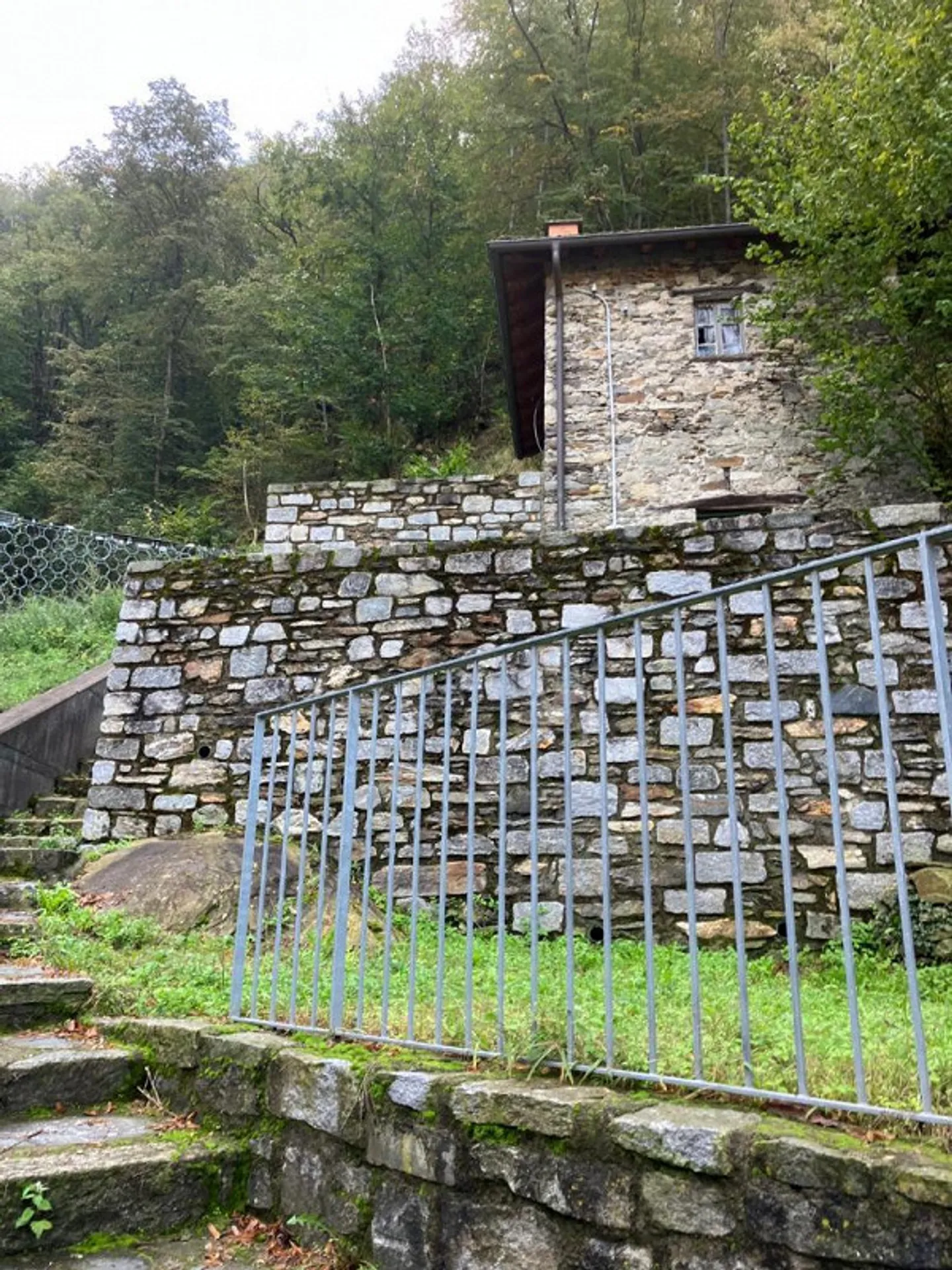 Bosco di 10615 m2 con cantina in posizione tranquilla con bella vista - Foto 3 di 10