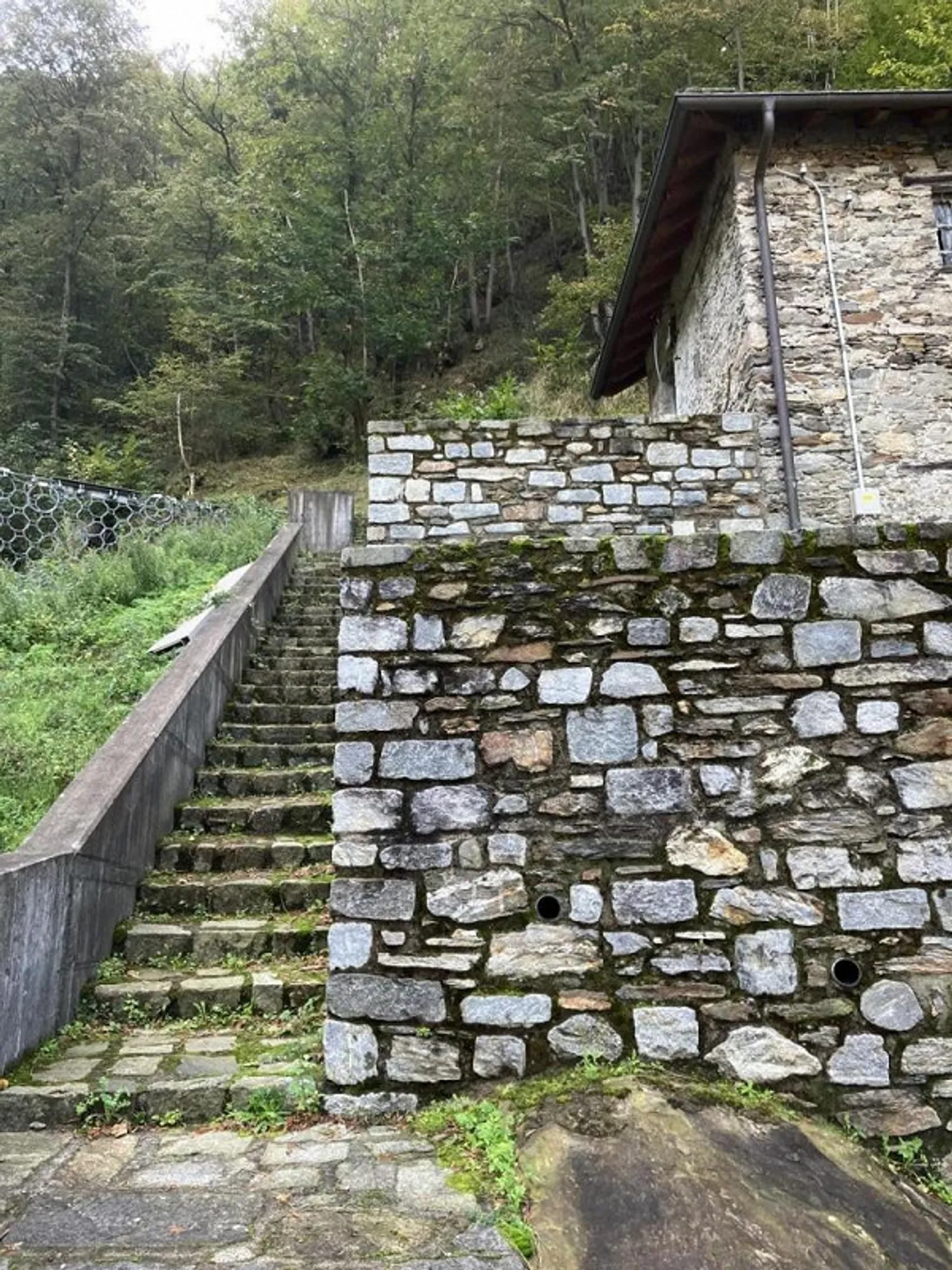 Bosco di 10615 m2 con cantina in posizione tranquilla con bella vista - Foto 5 di 10