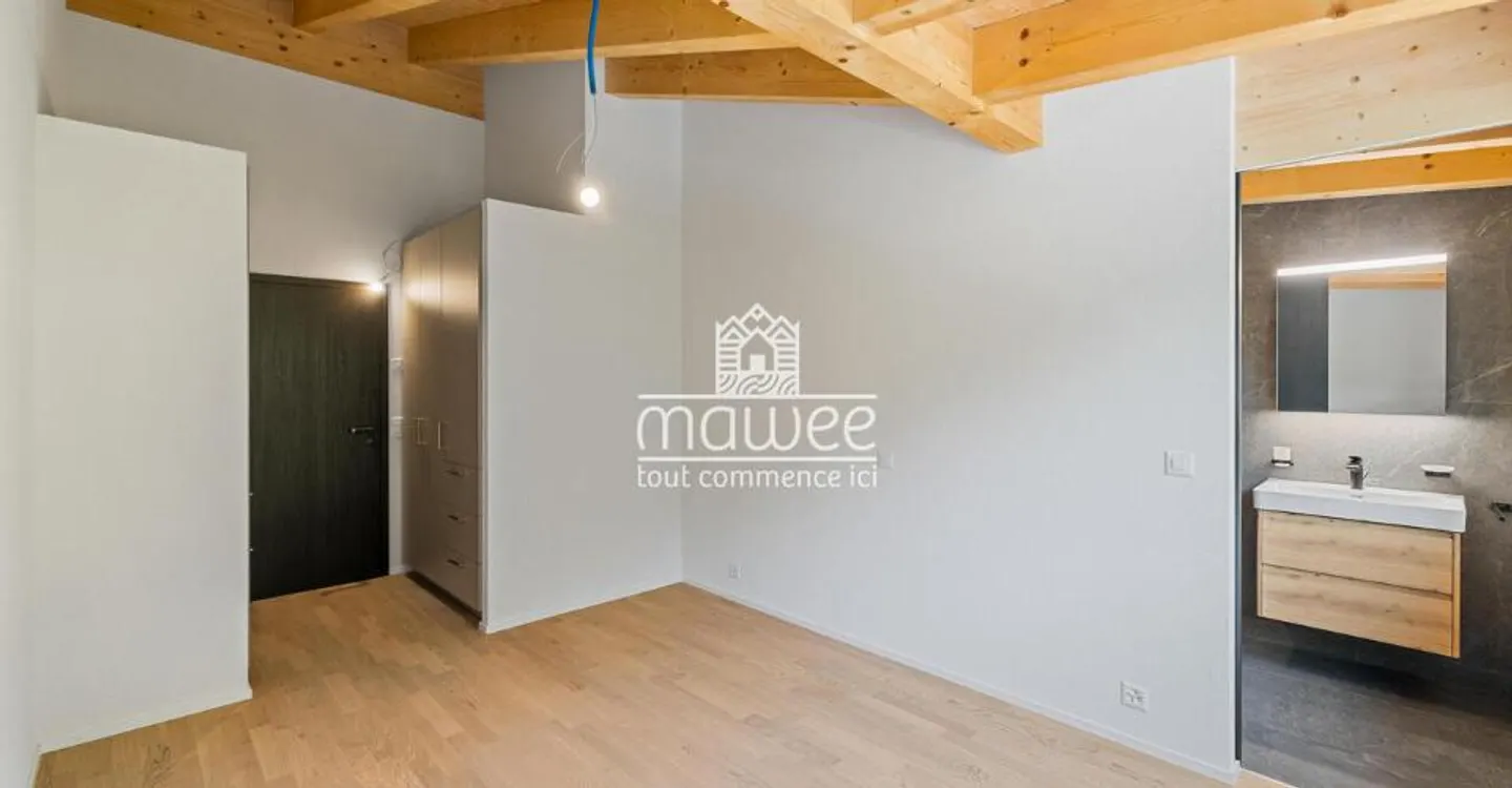 Your new 4.5 room penthouse, ready to move in - Photo 7 of 12