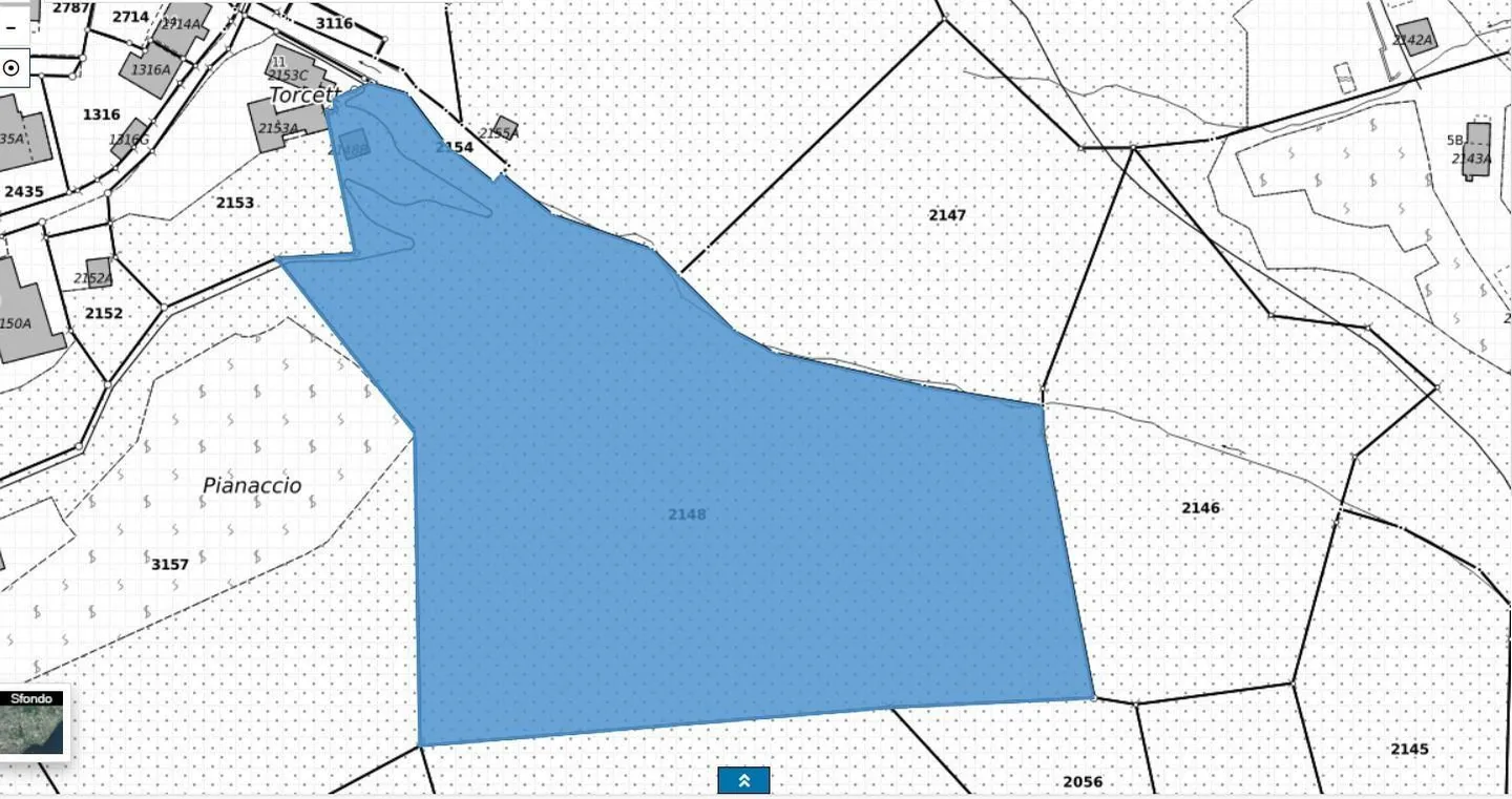 Bosco di 10615 m2 con cantina in posizione tranquilla con bella vista - Foto 10 di 10