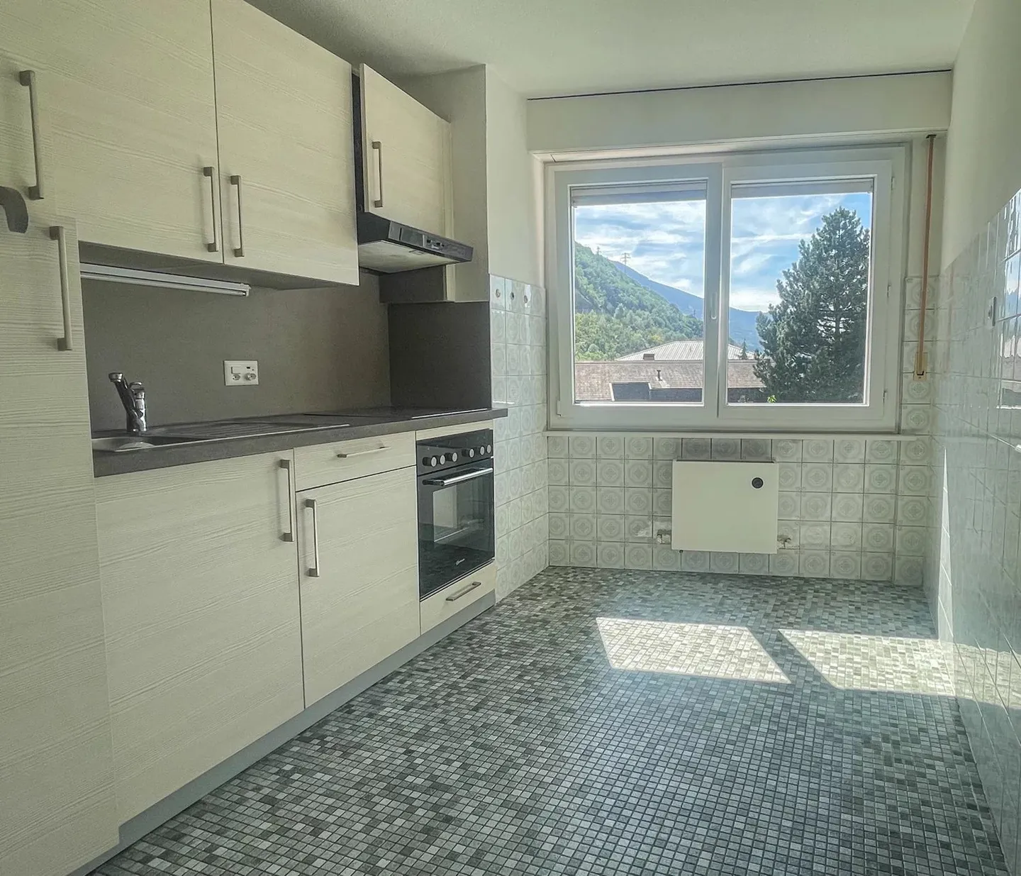 Investment Property in Chippis - Photo 3 of 13
