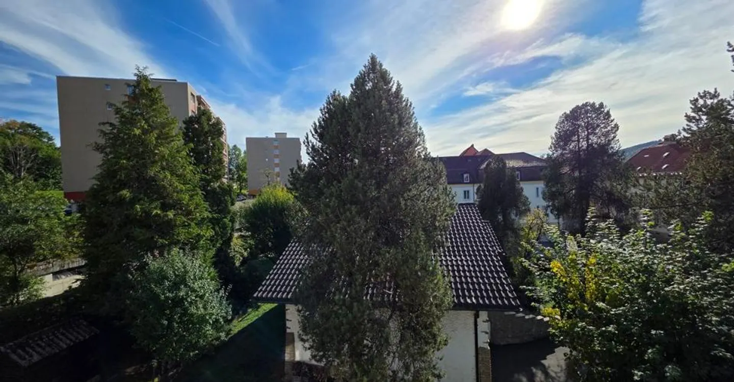 5.5-room apartment with terrace, double garage and outdoor parking space - Photo 4 of 13