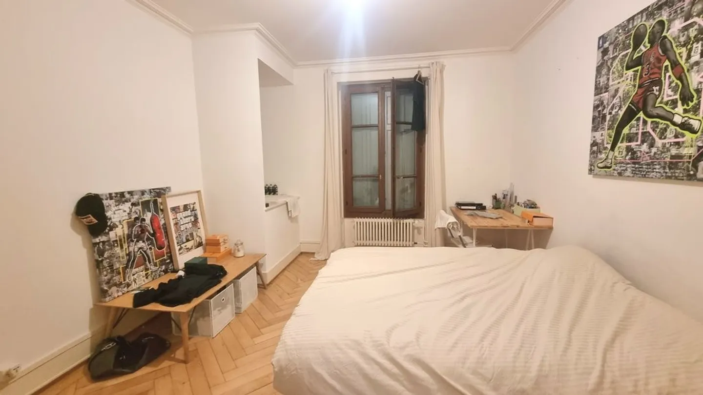 Bel appartamento haussmanniano nel quartiere della Servette - Foto 4 di 5