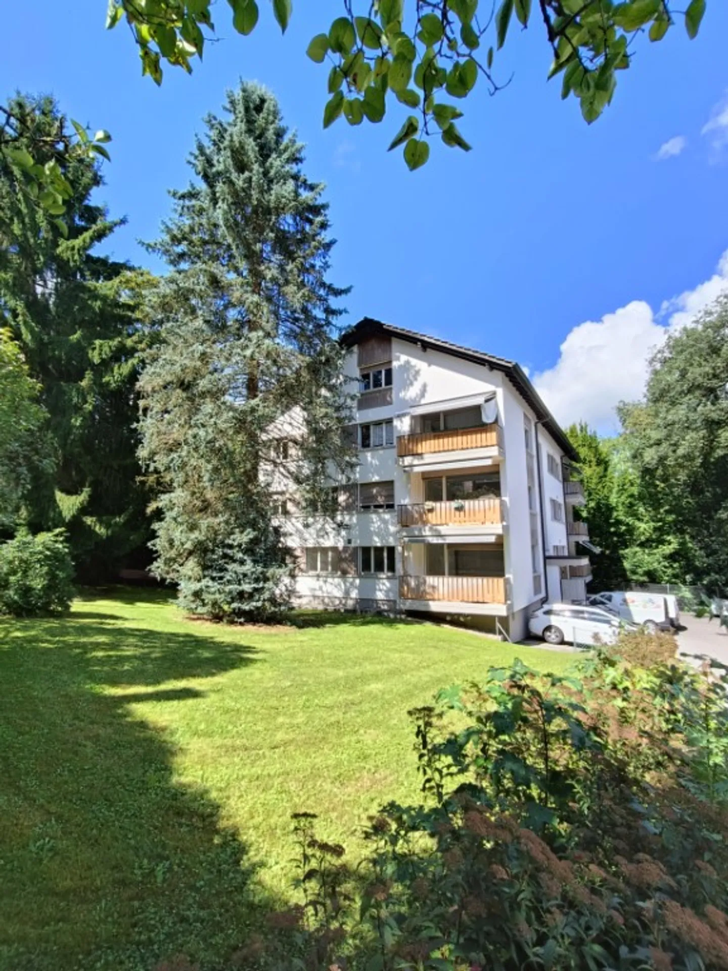 OFFERTA DI AFFITTO NETTO APPARTAMENTO 3½ STANZE AL PIANO TERRA - Foto 3 di 7