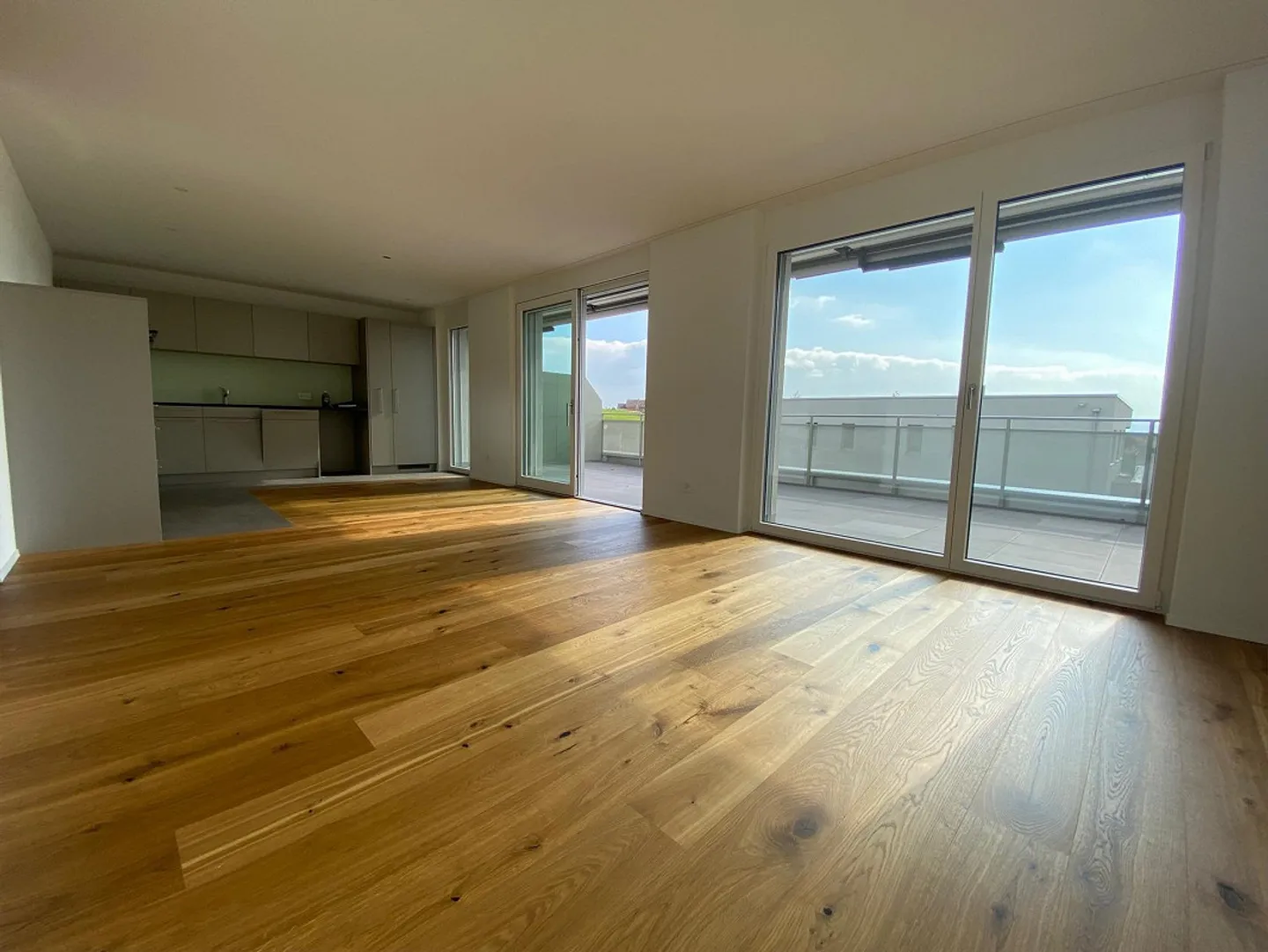 Exklusive Attikawohnung mit grosser Terrasse und Weitsicht - Foto 8 von 20
