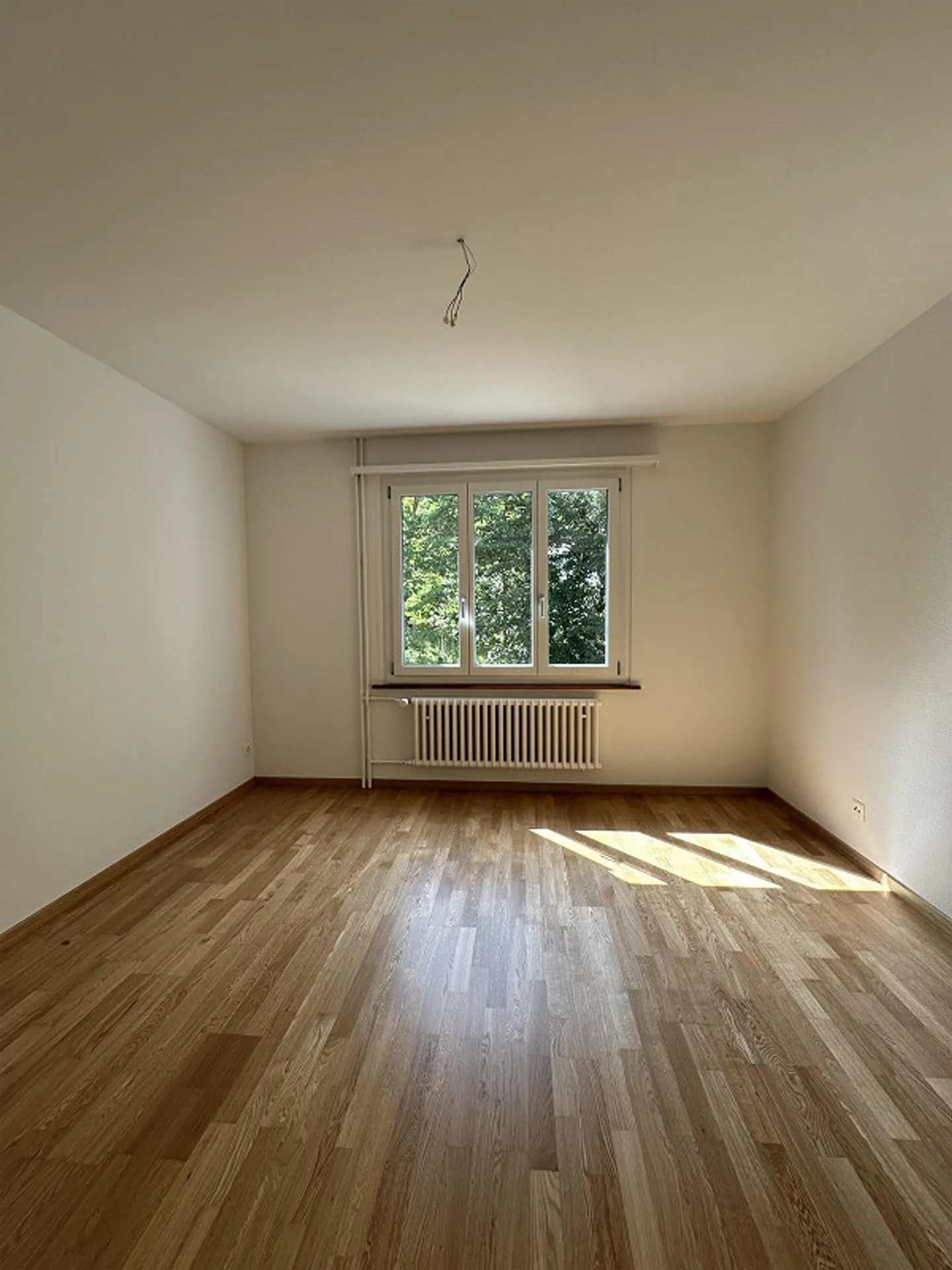 Prima occupazione dopo ristrutturazione dell'appartamento - Foto 5 di 8