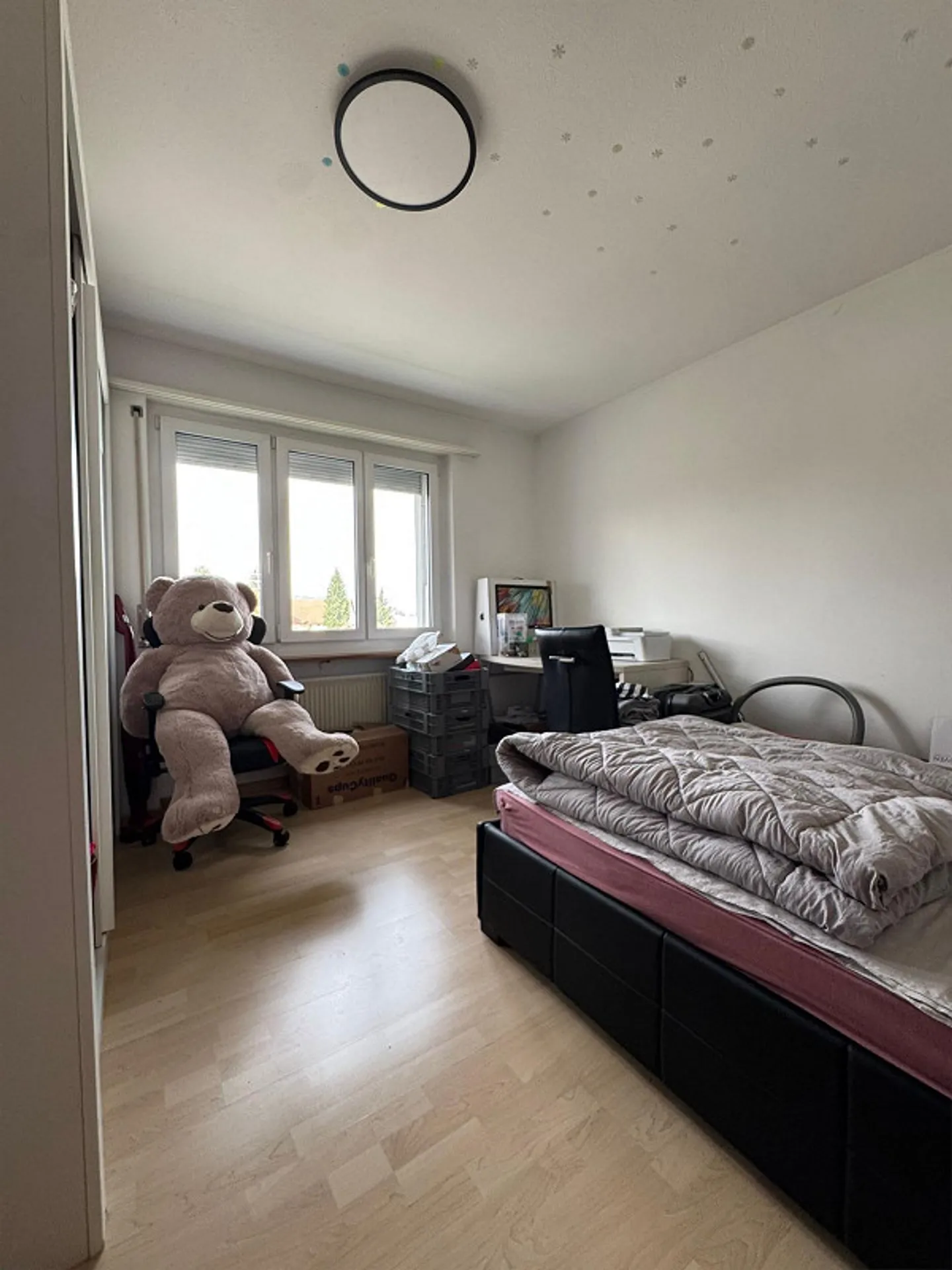 Bright 2.5 Room Apartment - Photo 4 of 4
