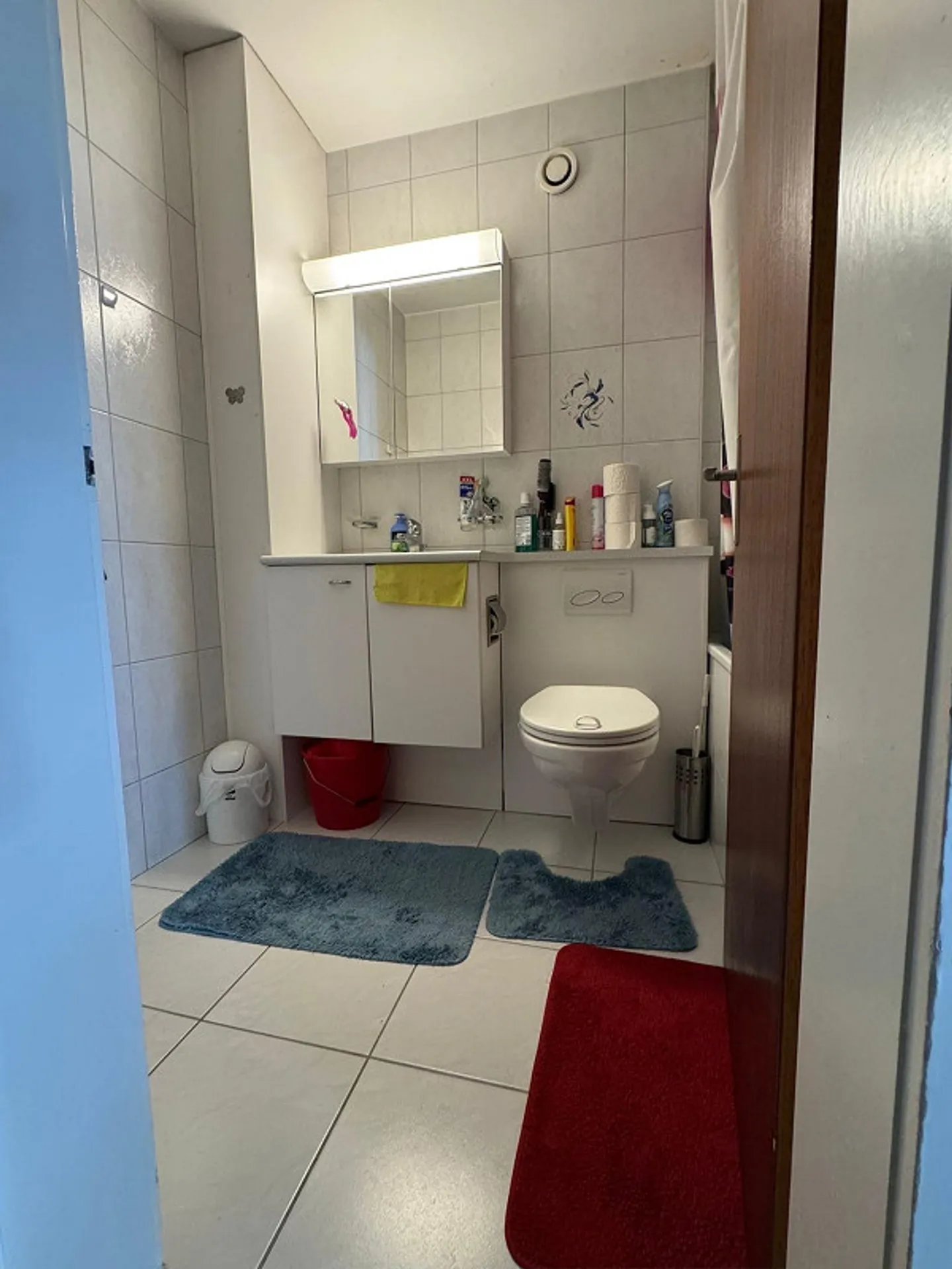 Bright 2.5 Room Apartment - Photo 3 of 4
