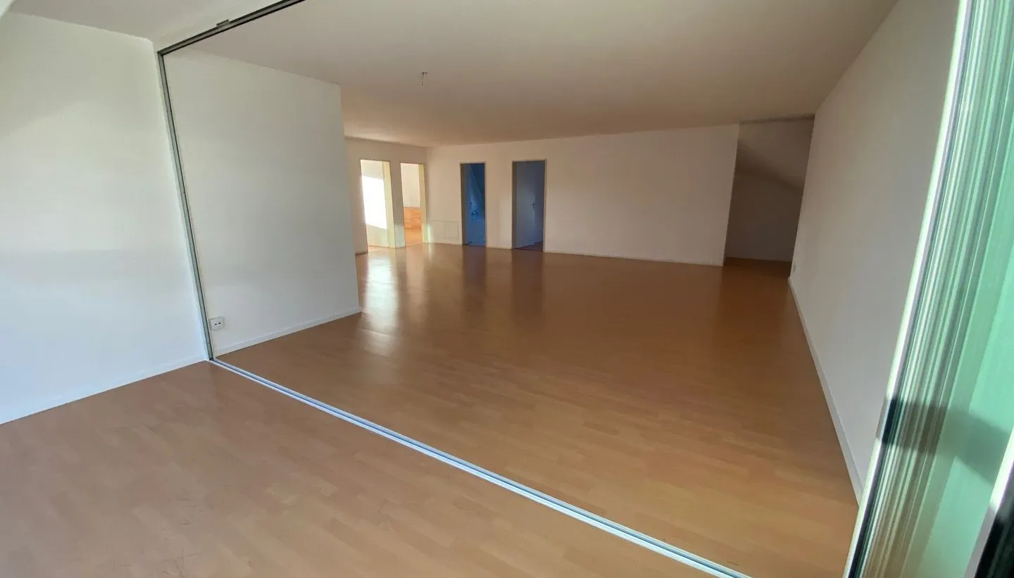 3- ZIMMER WOHNUNG 75M2 1200.-,  1- ZIMMER- WHG  850.-, 6- ZIMMER 150M2 2000.- - Foto 3 von 34