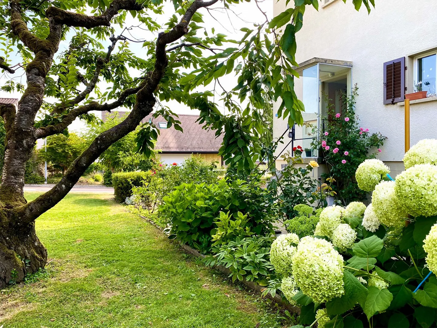 Beautiful and Quiet 2.5-Room Apartment - Photo 2 of 9