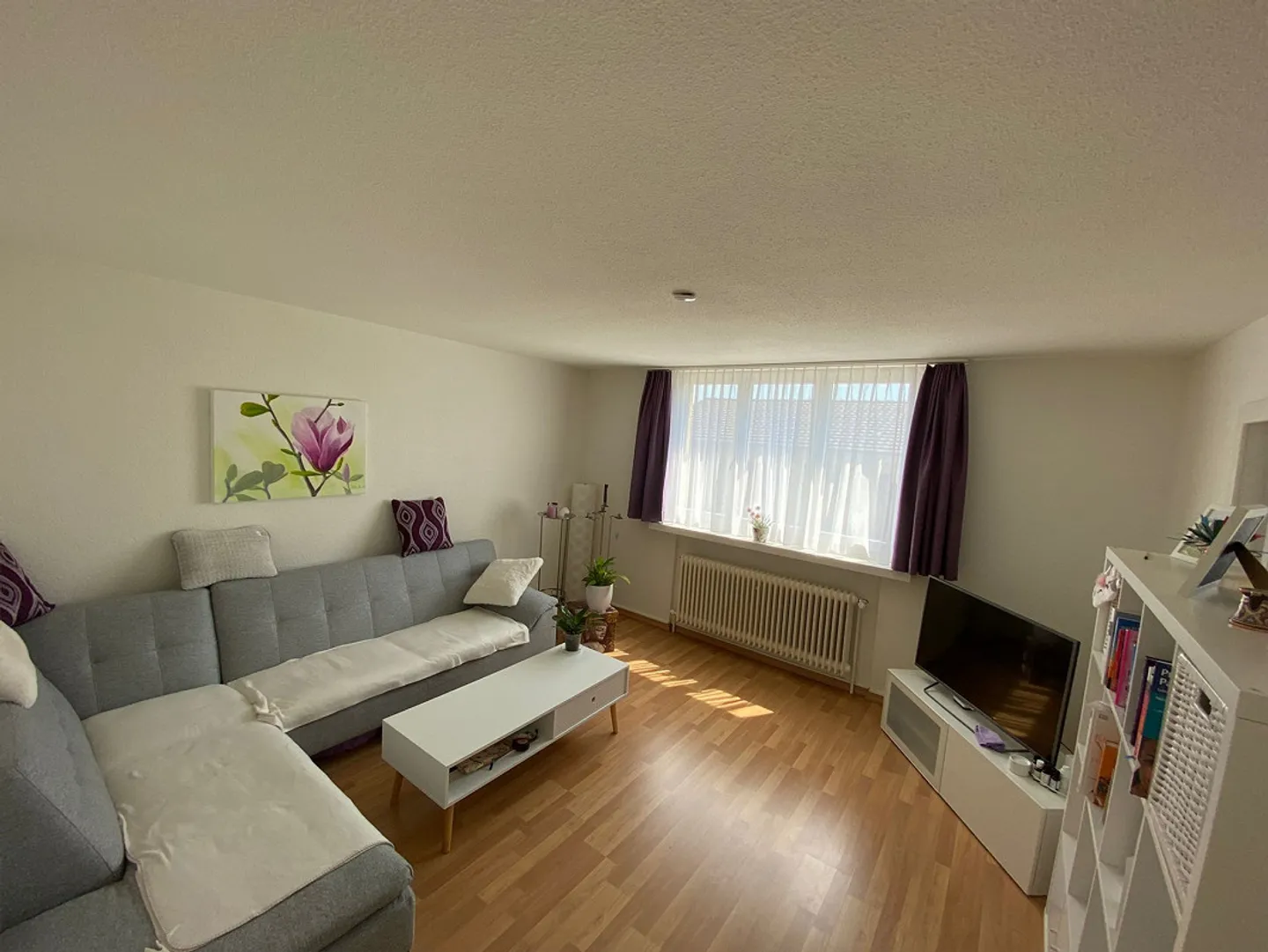 Beautiful and Quiet 2.5-Room Apartment - Photo 4 of 9