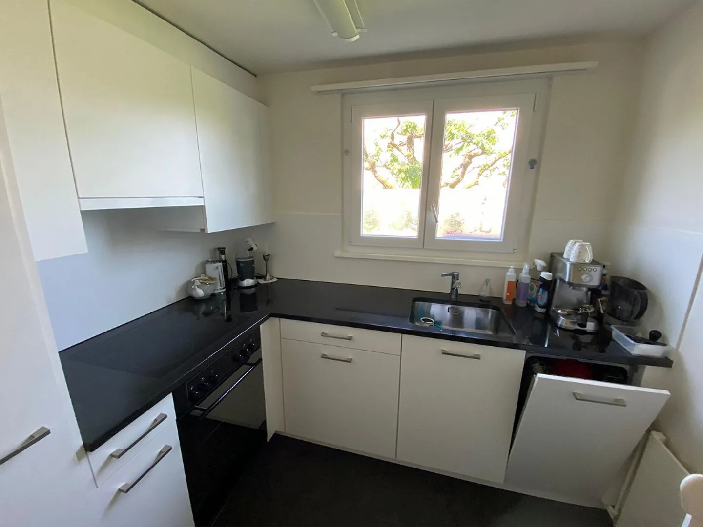 Beautiful and Quiet 2.5-Room Apartment - Photo 8 of 9