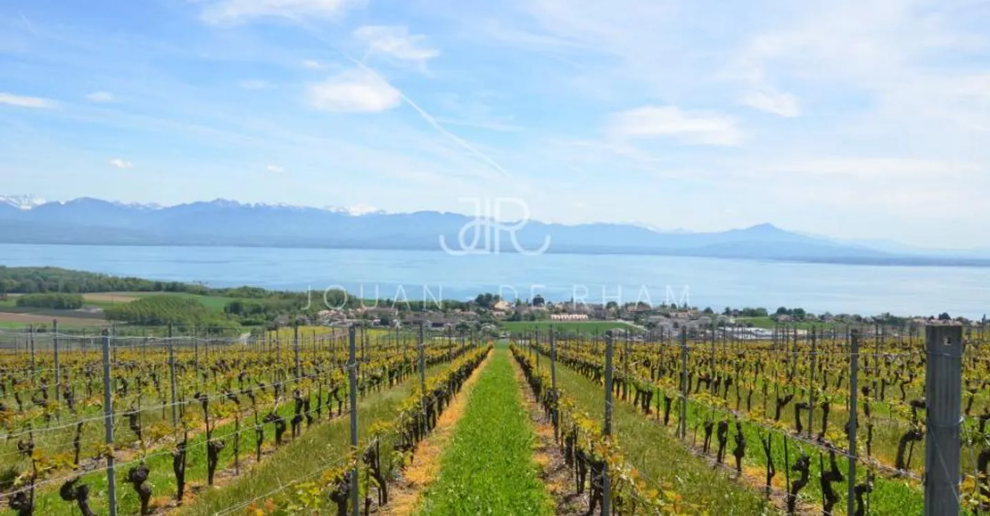 Magnificent property in the heights of Nyon - Photo 1 of 1