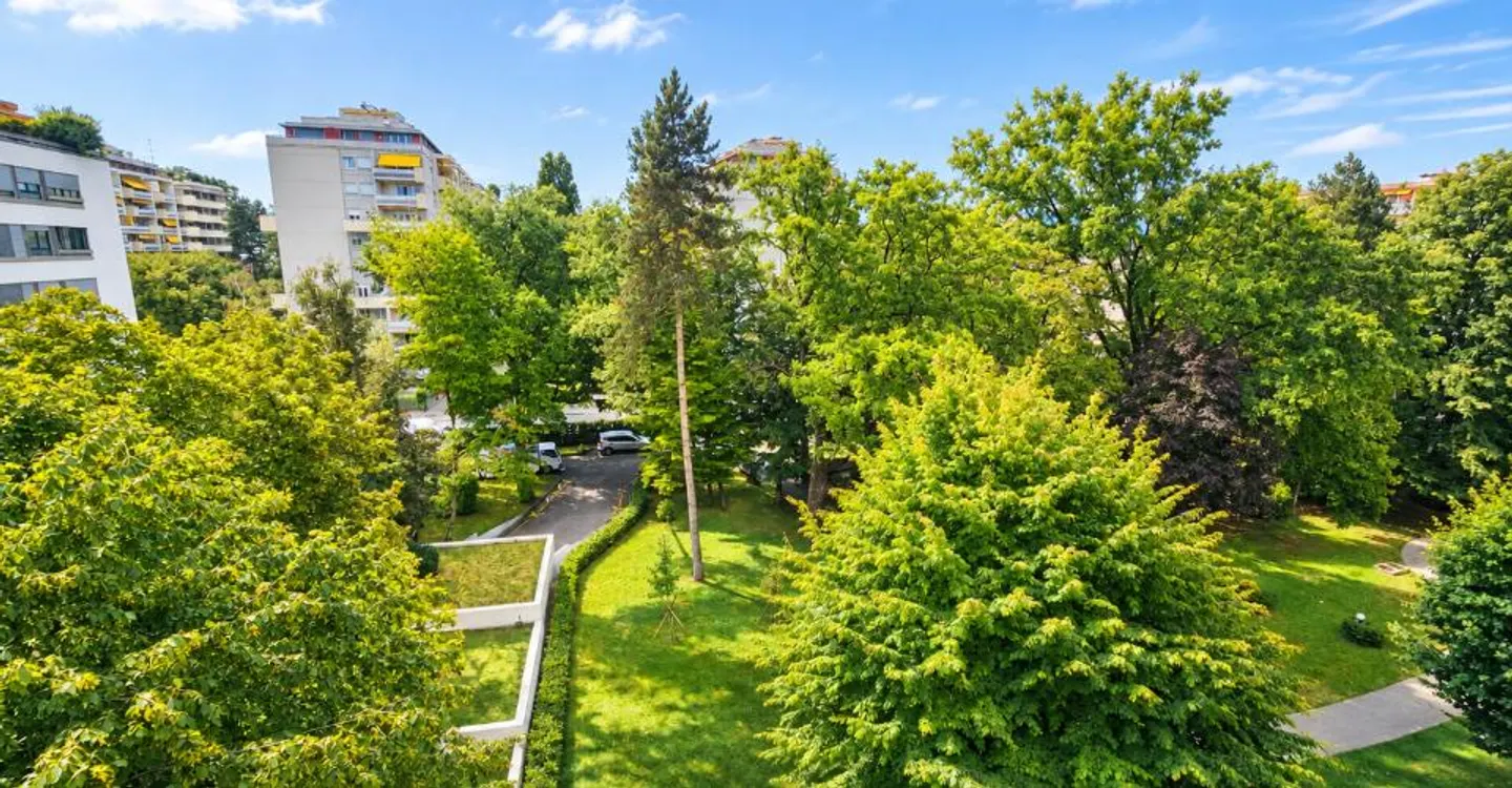 Champel - Sale in Real Estate Company - Photo 8 of 8