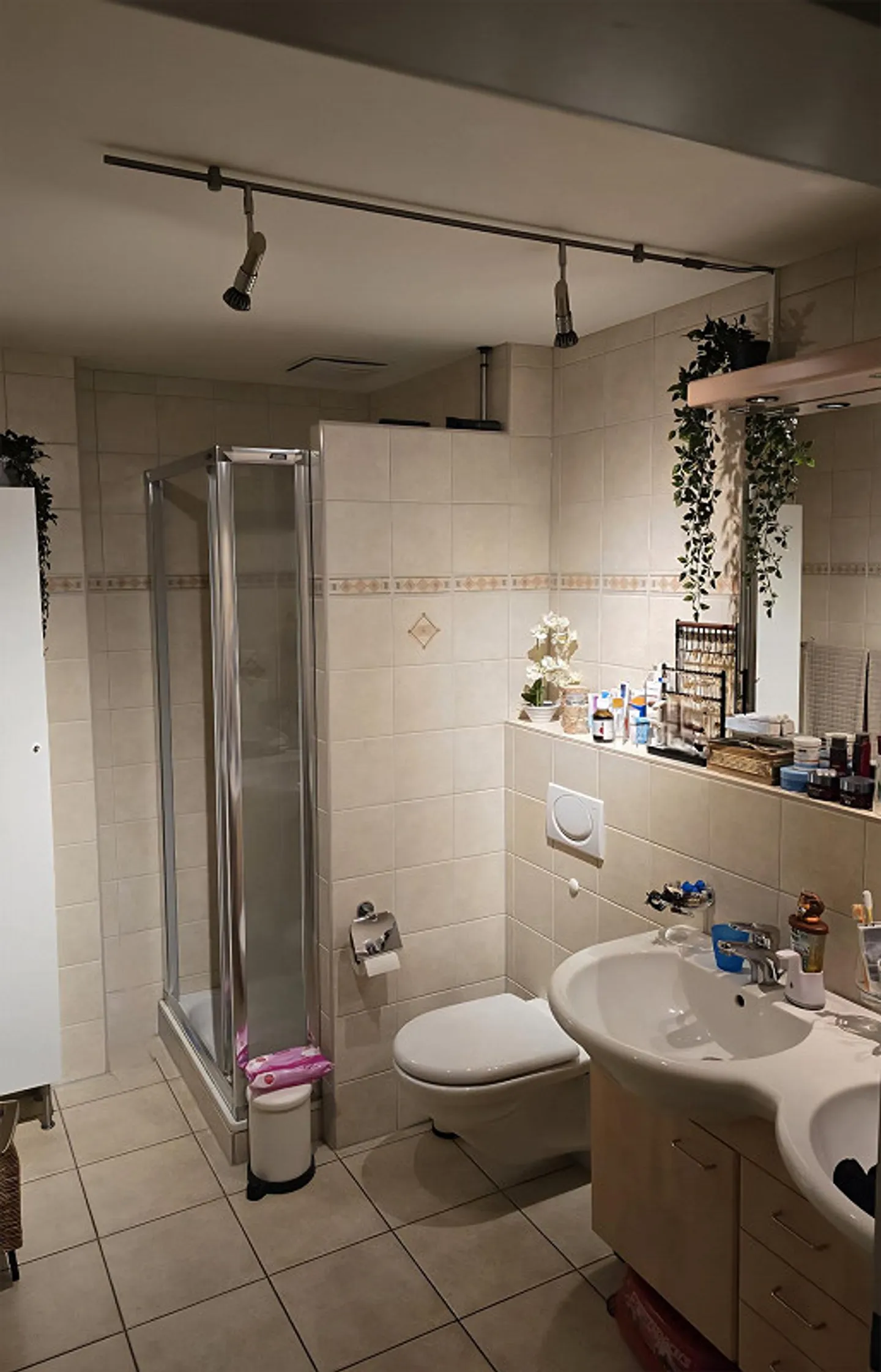 Grosszügige  4 1/2  Zimmer Attikawohnung  inkl.  Einstellhallenplatz - Foto 18 von 23