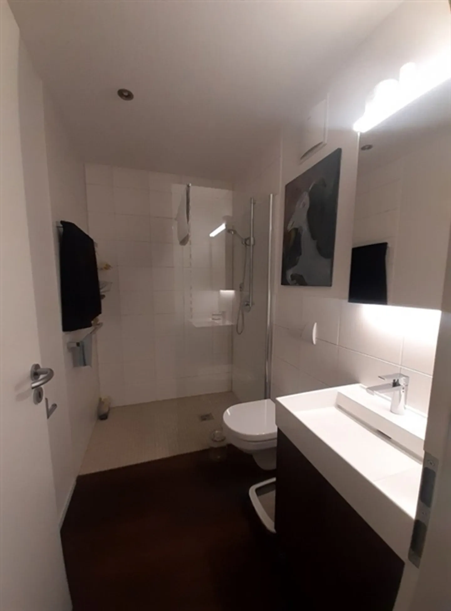 Appartement 3½ pièces à Thun (BE), meublé, temporaire - Photo 7 sur 10