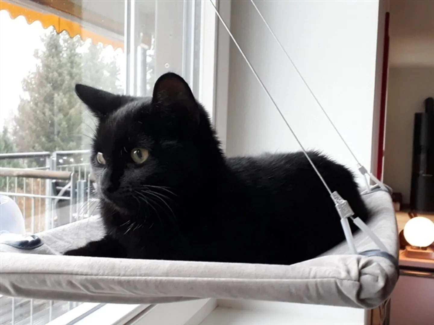 Appartement 3½ pièces à Thun (BE), meublé, temporaire - Photo 8 sur 10