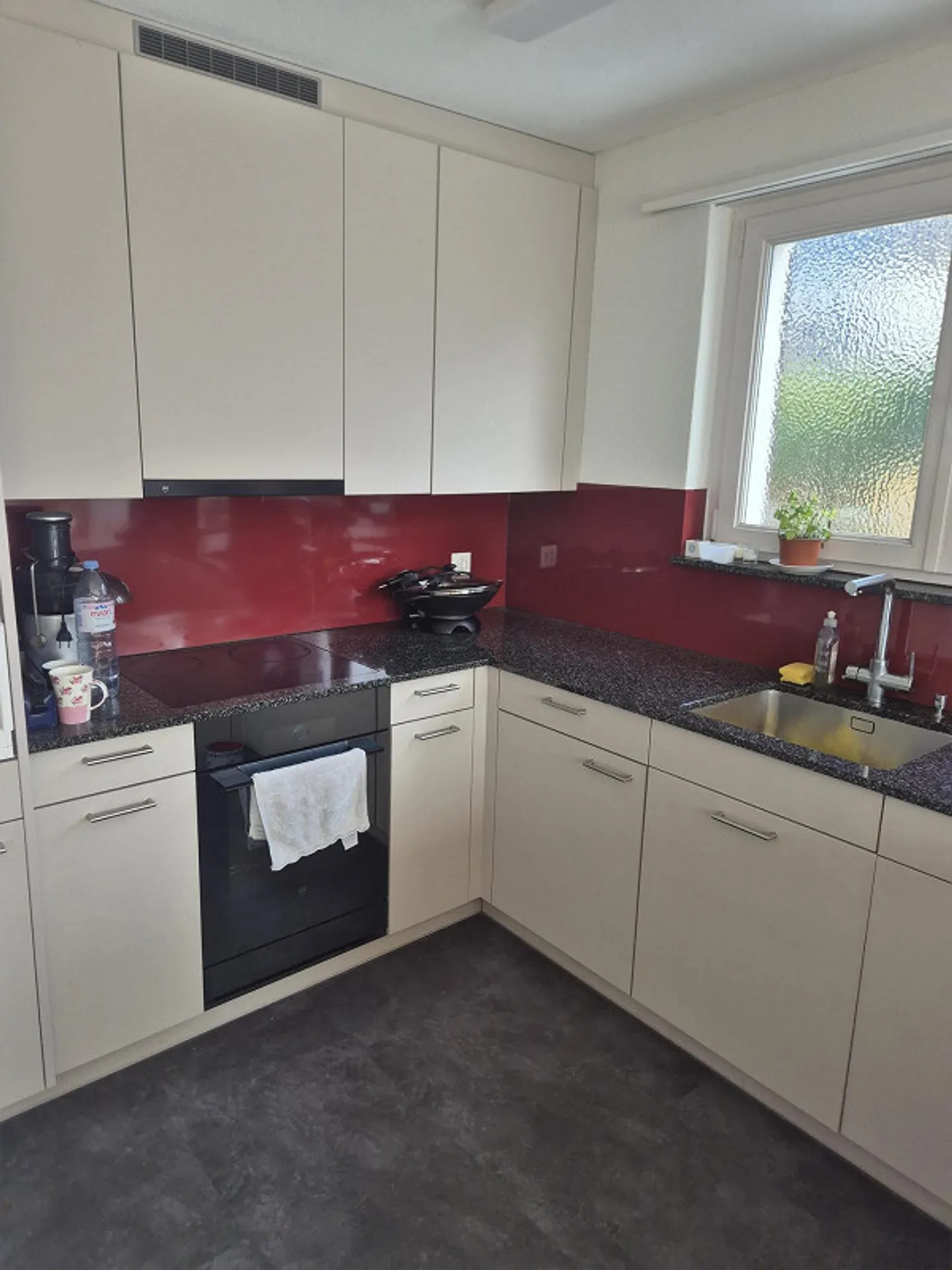 Cozy apartment with fantastic lake and mountain views - Photo 5 of 9