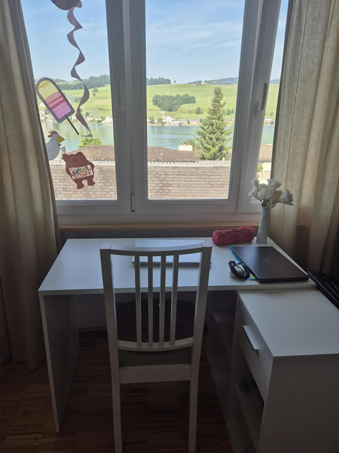 Cozy apartment with fantastic lake and mountain views - Photo 7 of 9