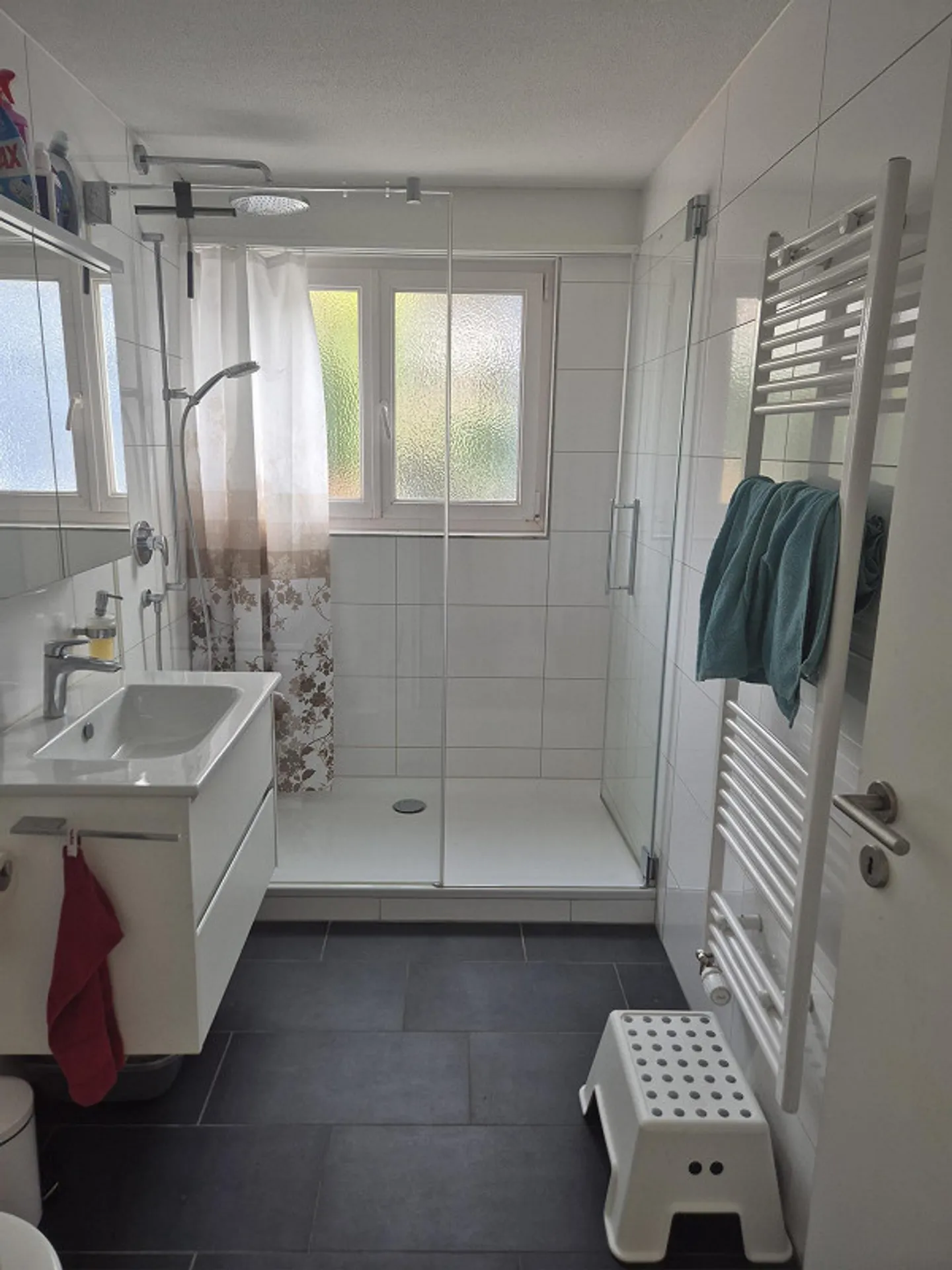 Cozy apartment with fantastic lake and mountain views - Photo 9 of 9