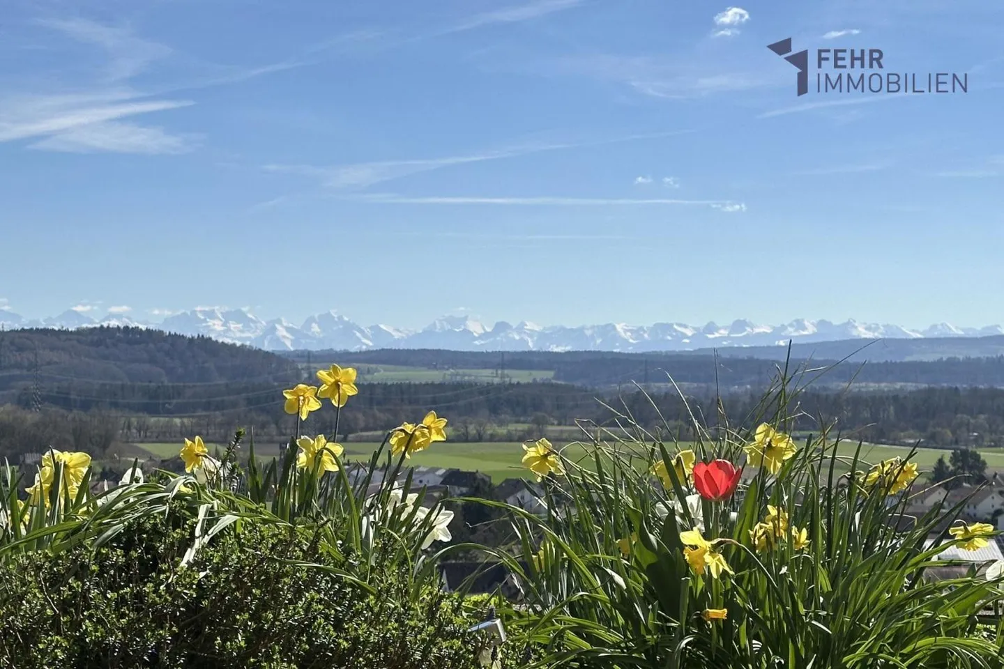 4.5 Room Apartment - Photo 2 of 13