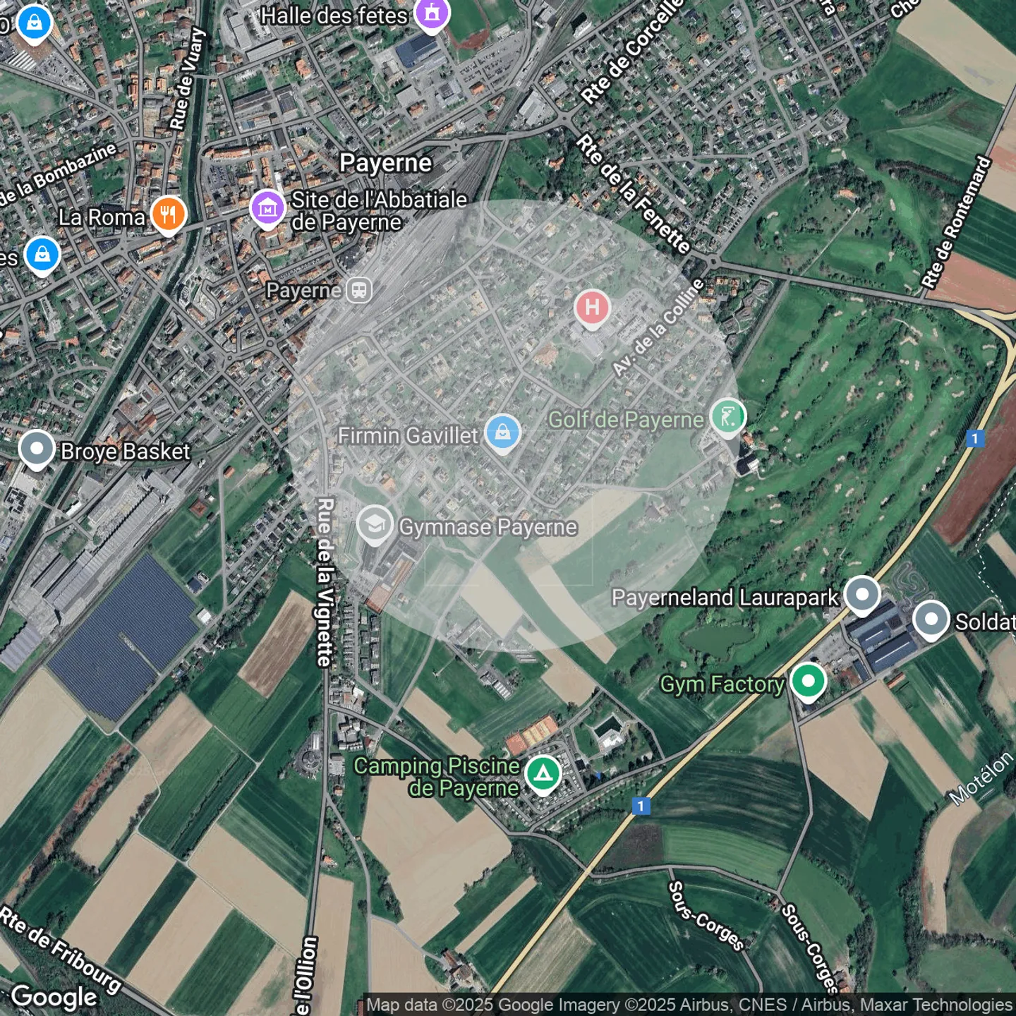 Beautiful bright individual villa with nice garden in Payerne - Photo 14 of 14