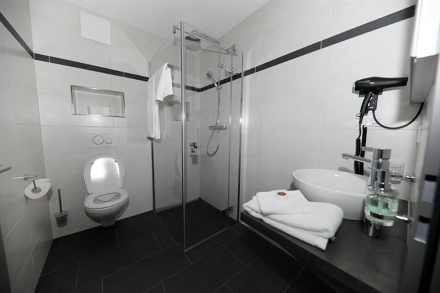 1 ROOM APARTMENT IN REICHENBURG (SZ), FURNISHED - Photo 6 of 7