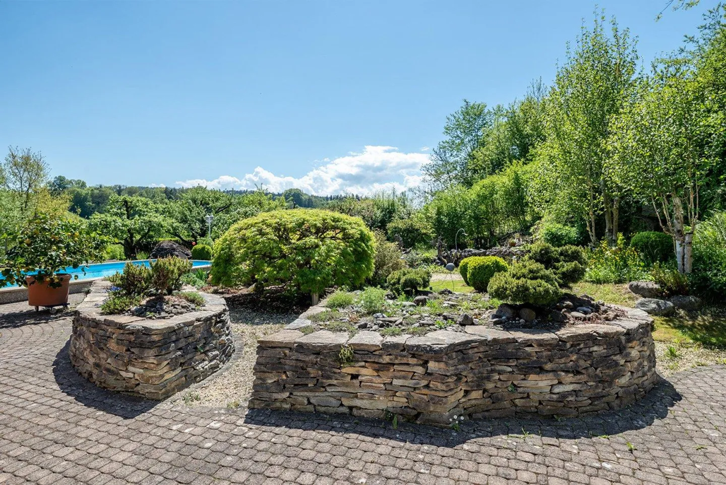 Spacious 8-Room House - 2607 m2 Plot at the Edge of the Forest - Room for.... - Photo 6 of 8