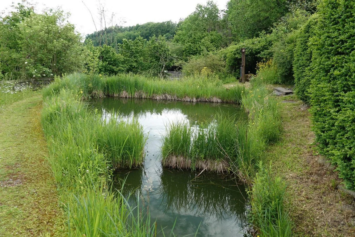 Spacious 8-Room House - 2607 m2 Plot at the Edge of the Forest - Room for.... - Photo 8 of 8